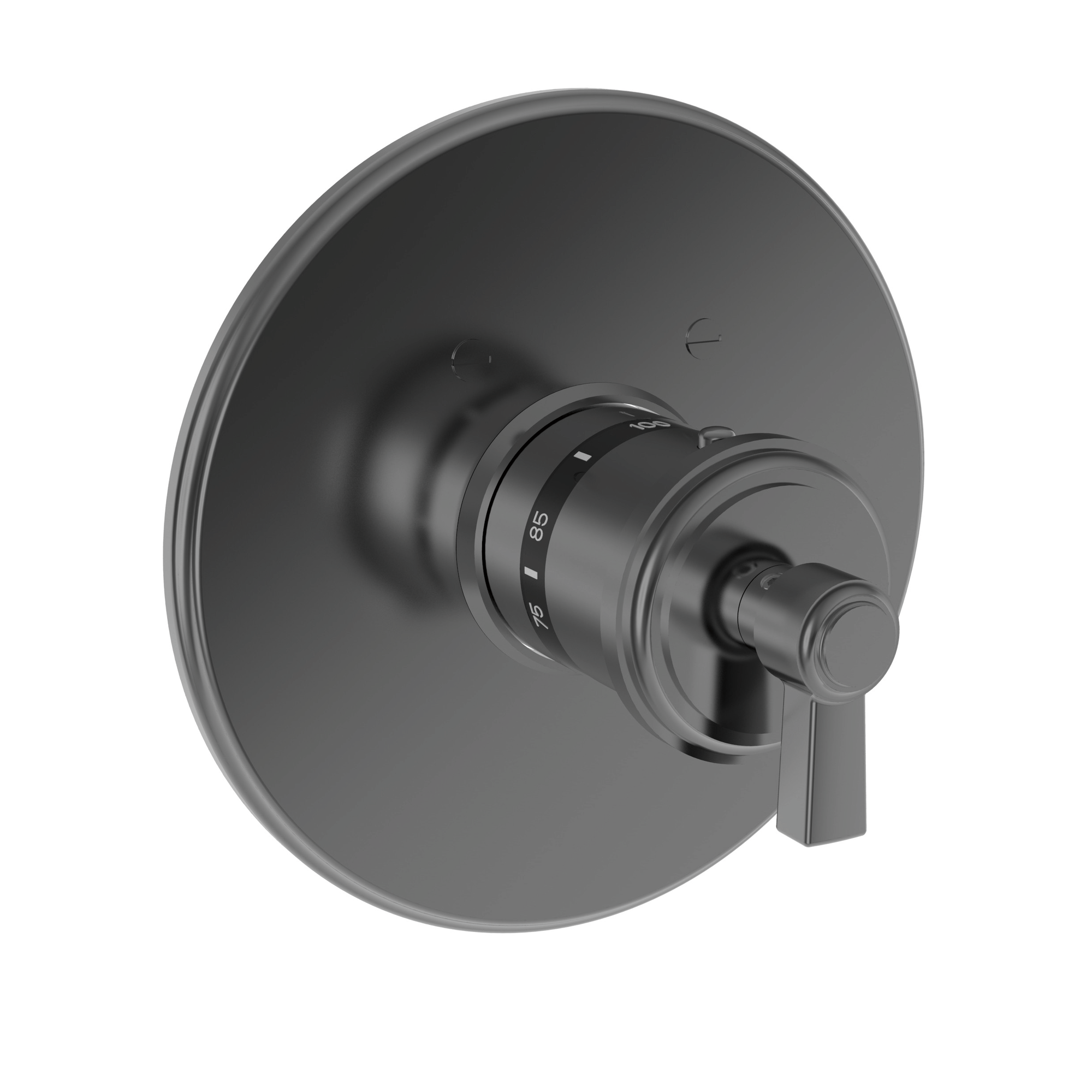 Newport Brass Miro 3/4" Round Thermostatic Trim Plate with Handle