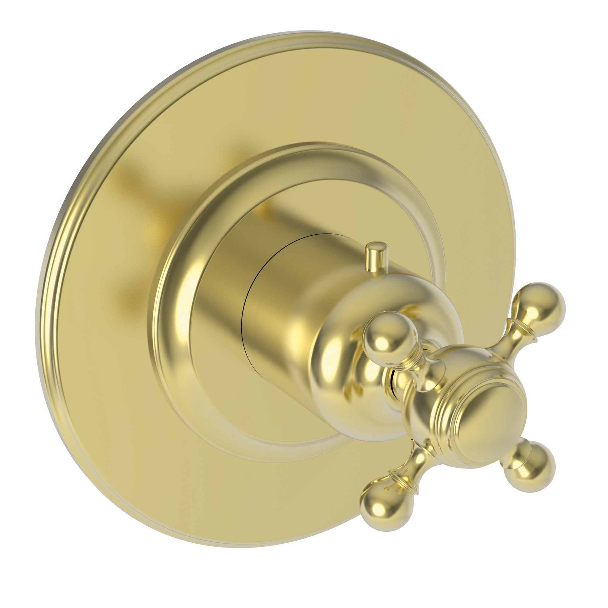 Newport Brass Victoria 3/4" Round Thermostatic Trim Plate with Handle