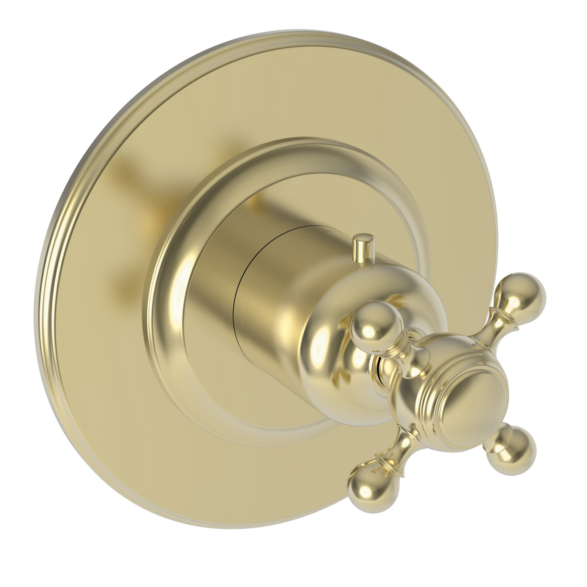 Newport Brass Victoria 3/4" Round Thermostatic Trim Plate with Handle
