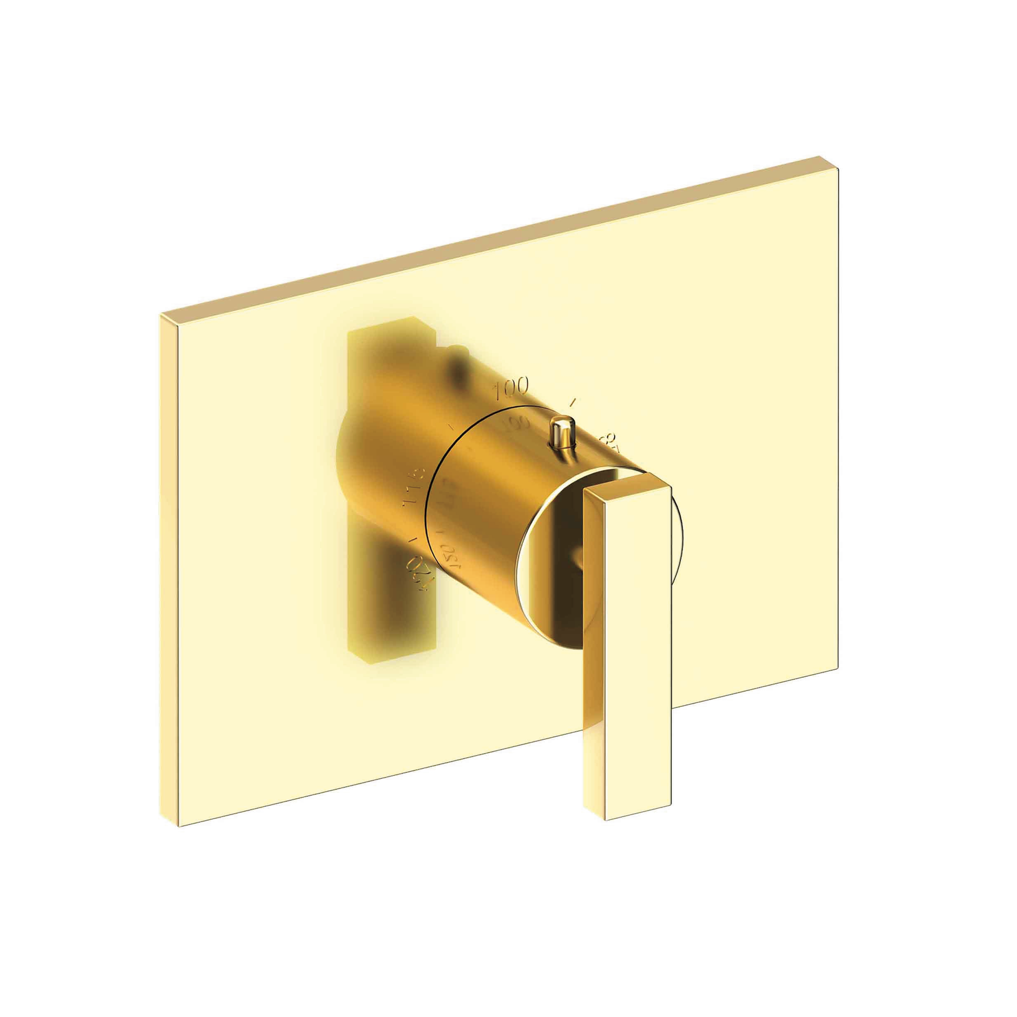 Newport Brass Secant® 3/4" Rectangular Thermostatic Trim Plate with Handle