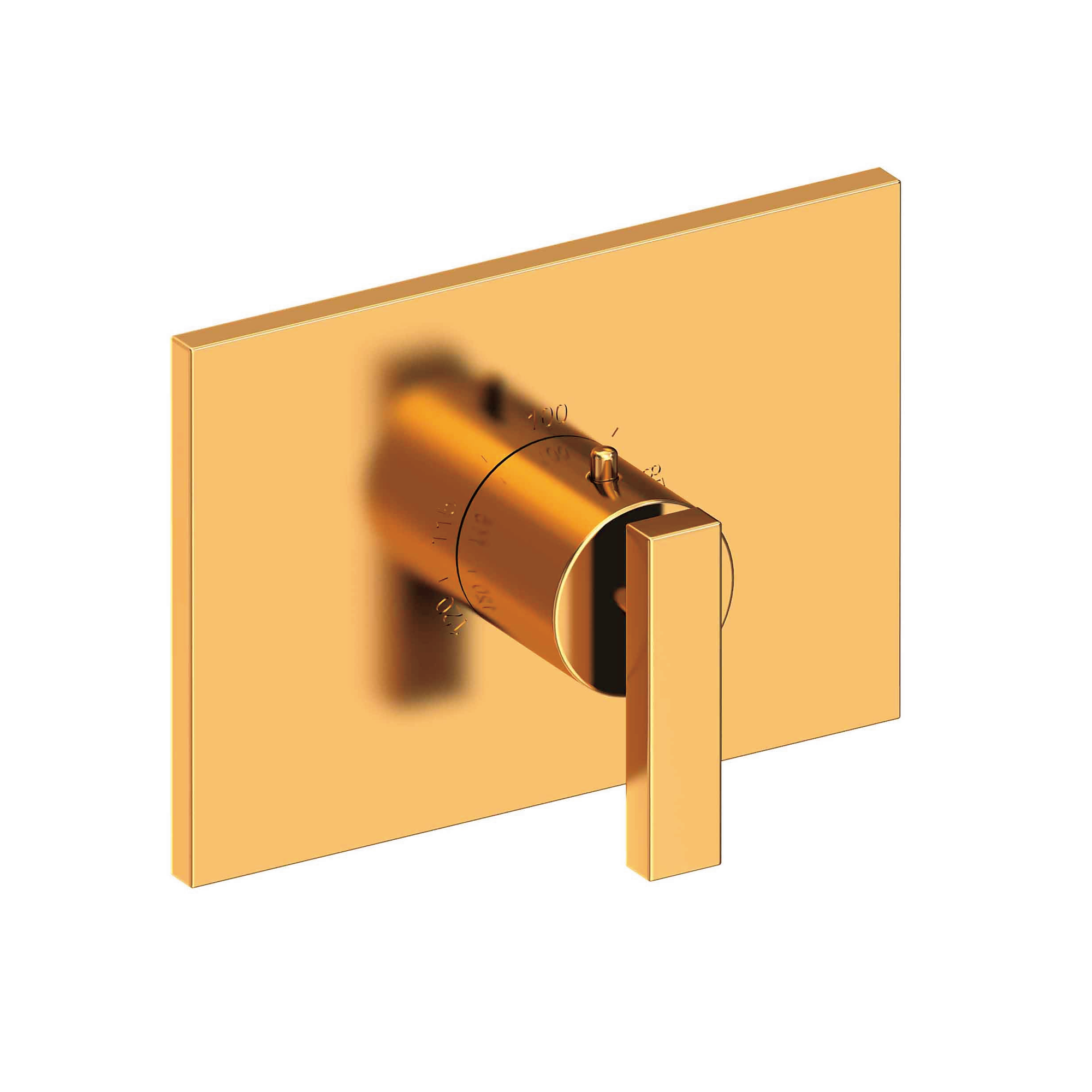 Newport Brass Secant® 3/4" Rectangular Thermostatic Trim Plate with Handle