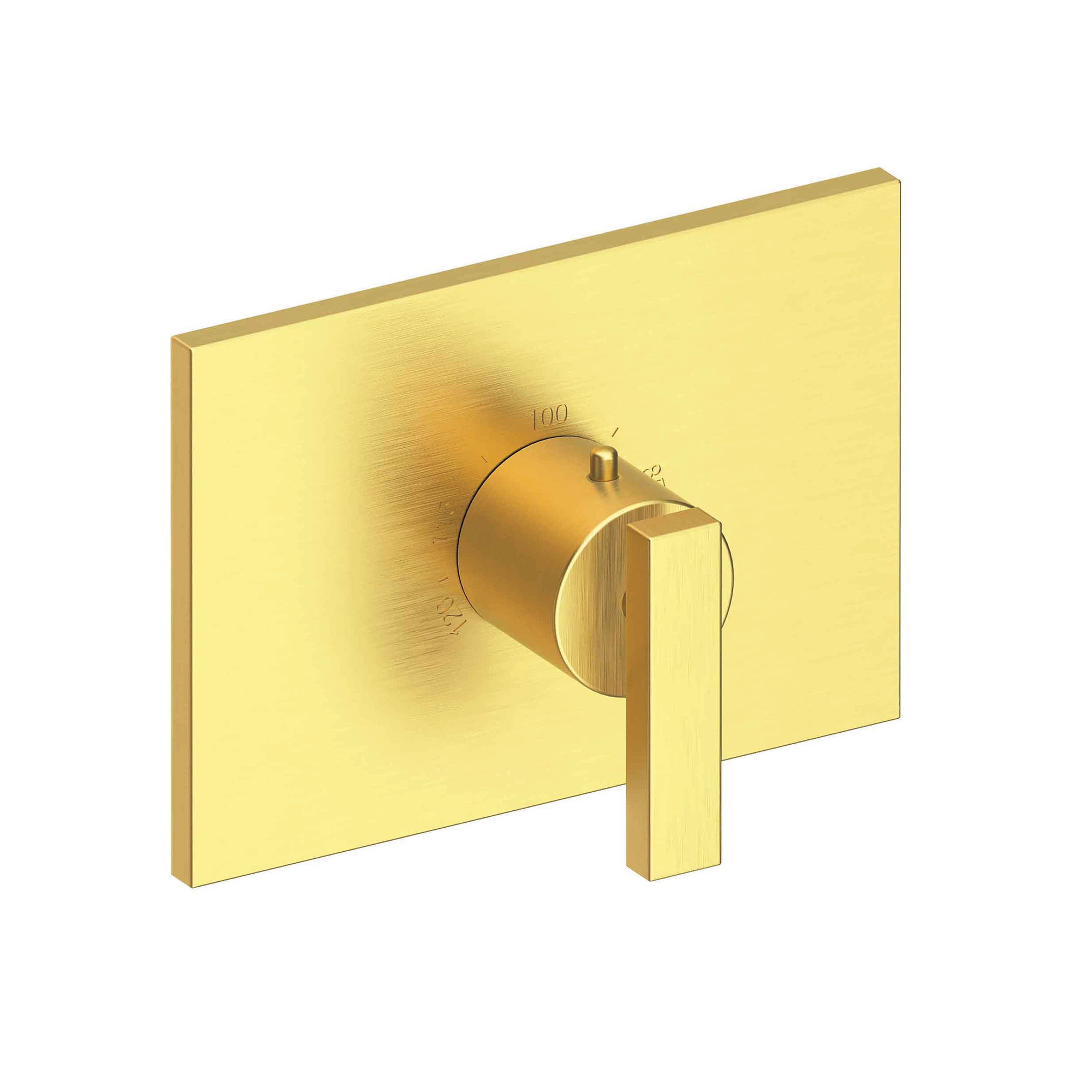 Newport Brass Secant® 3/4" Rectangular Thermostatic Trim Plate with Handle