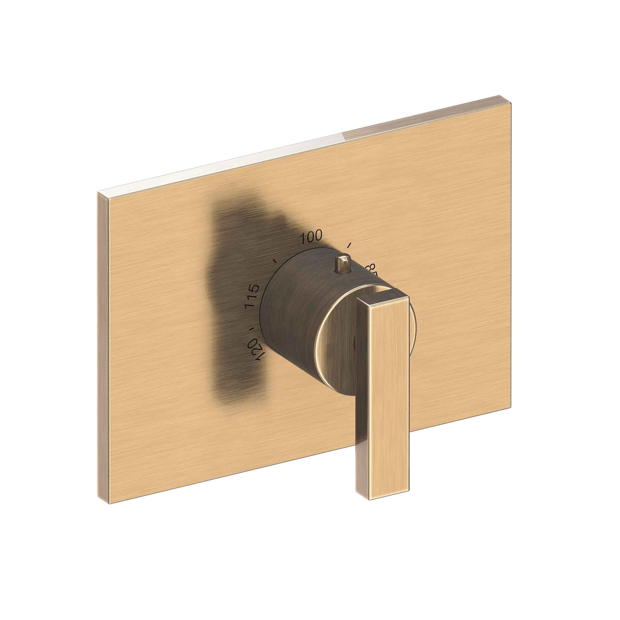 Newport Brass Secant® 3/4" Rectangular Thermostatic Trim Plate with Handle