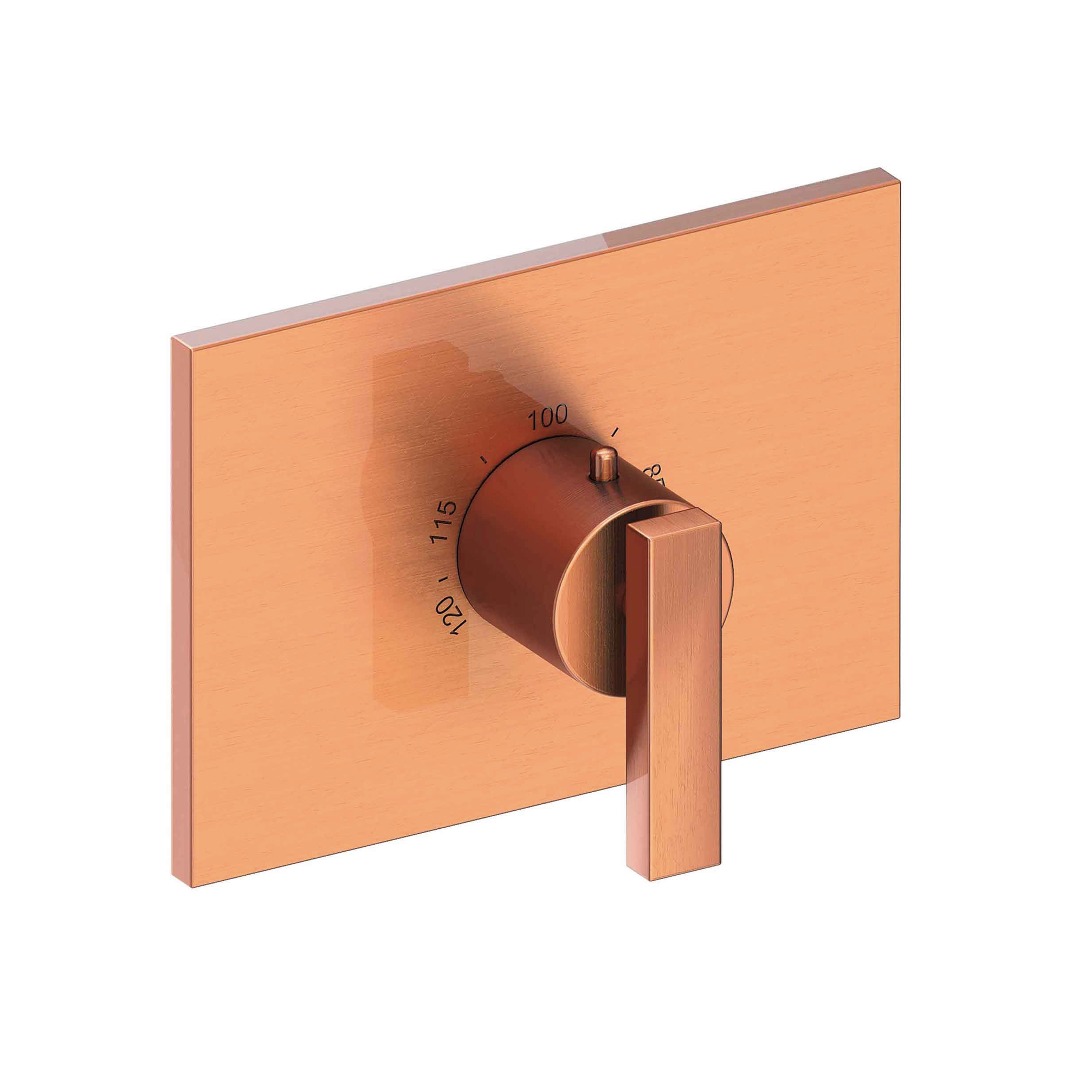 Newport Brass Secant® 3/4" Rectangular Thermostatic Trim Plate with Handle