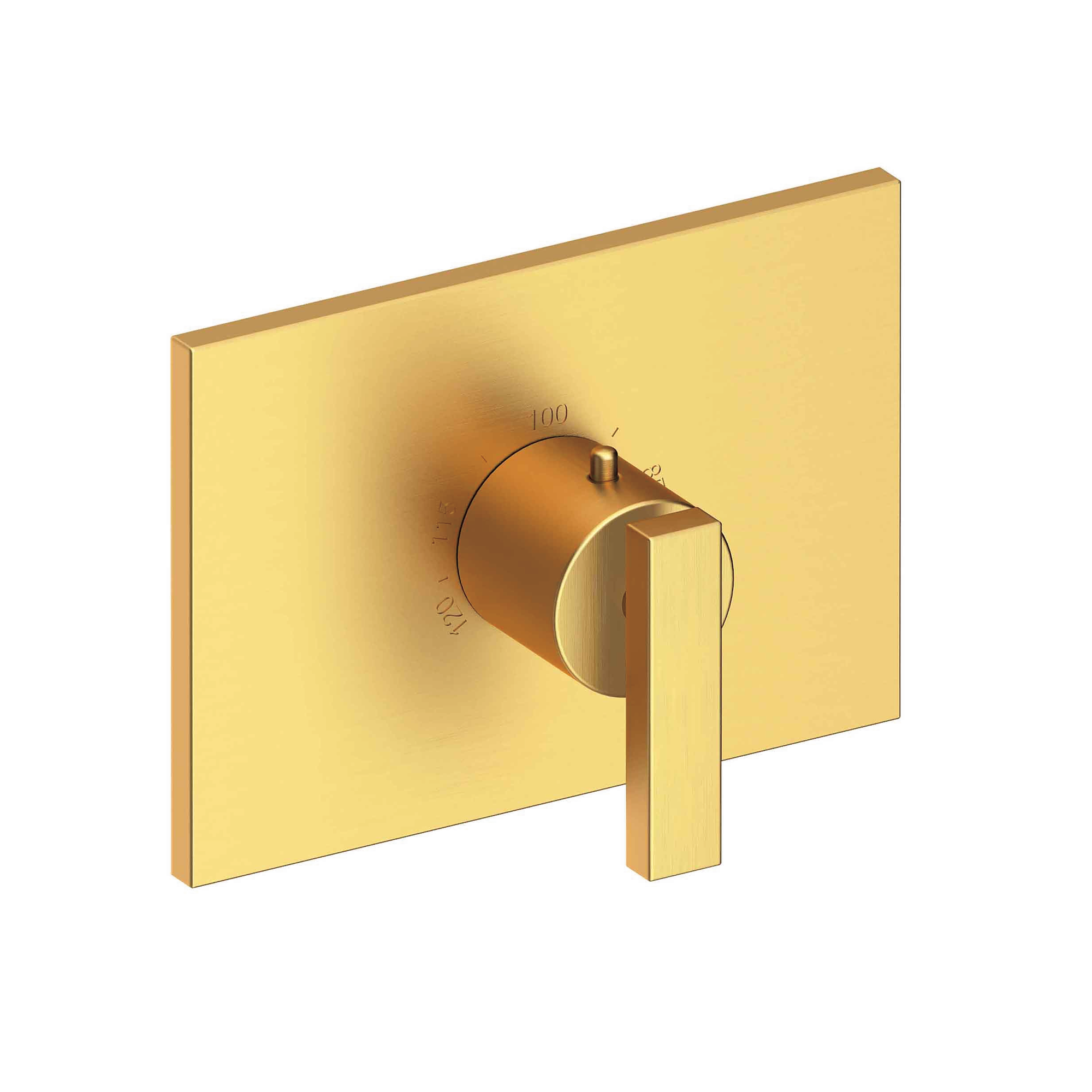 Newport Brass Secant® 3/4" Rectangular Thermostatic Trim Plate with Handle