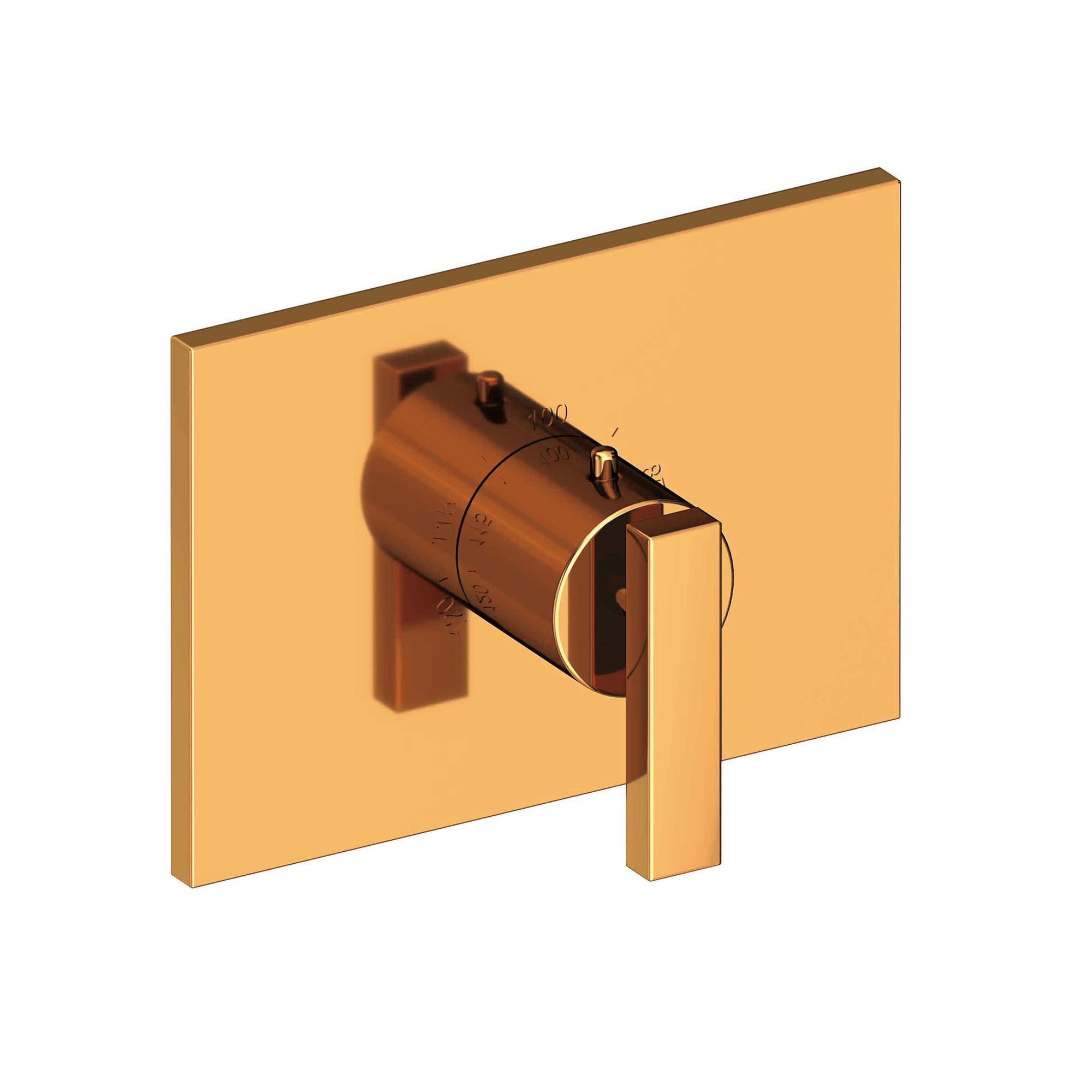 Newport Brass Secant® 3/4" Rectangular Thermostatic Trim Plate with Handle