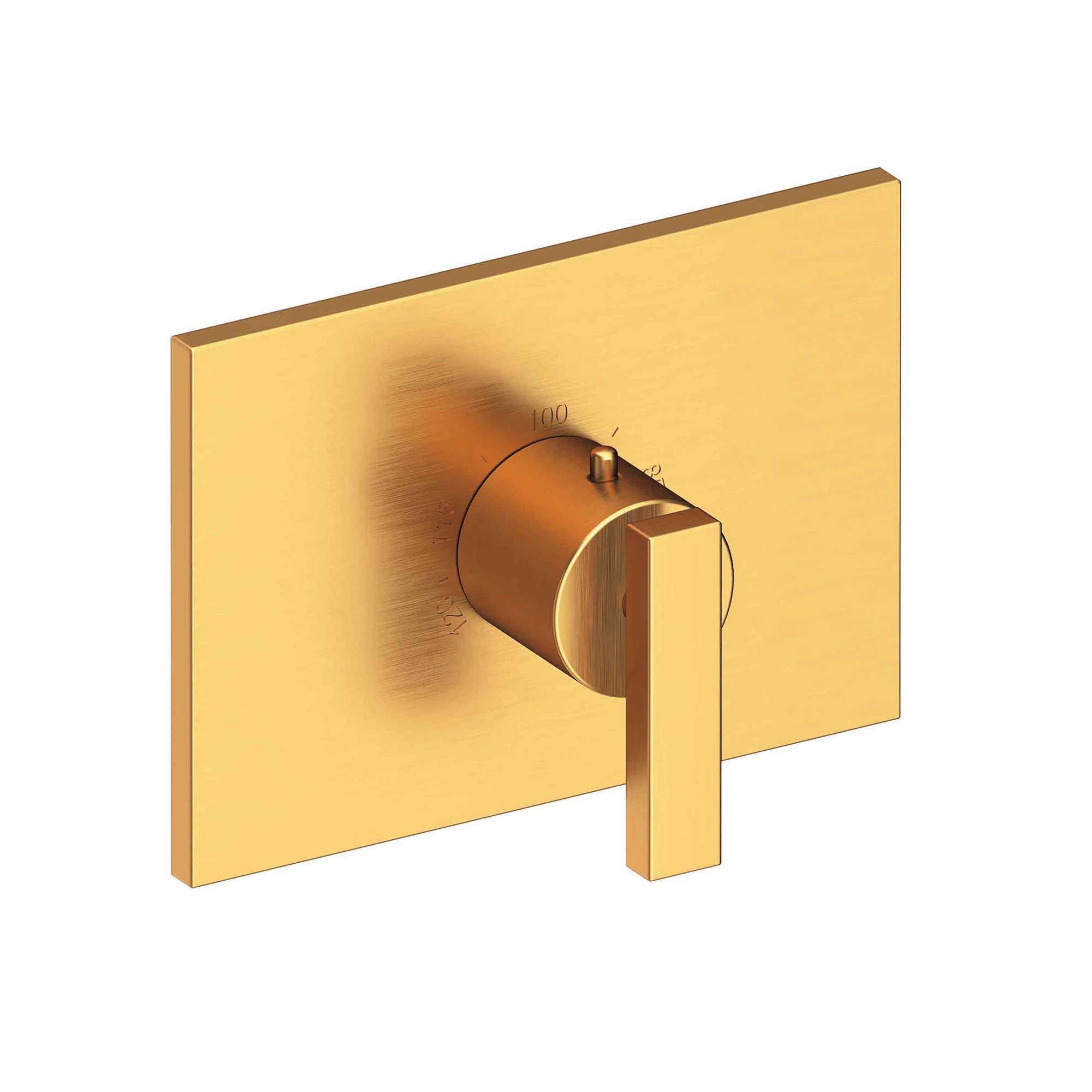 Newport Brass Secant® 3/4" Rectangular Thermostatic Trim Plate with Handle