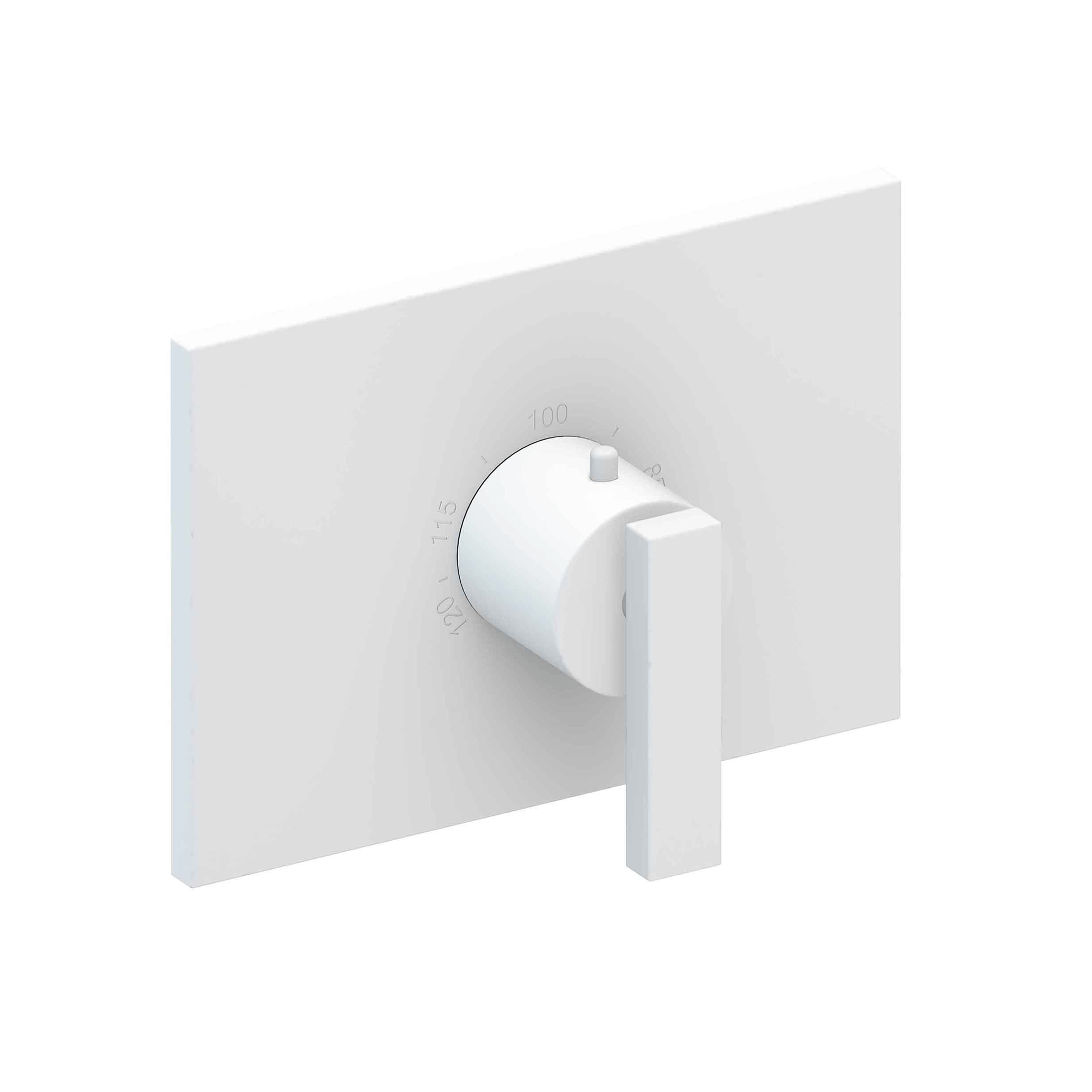 Newport Brass Secant® 3/4" Rectangular Thermostatic Trim Plate with Handle
