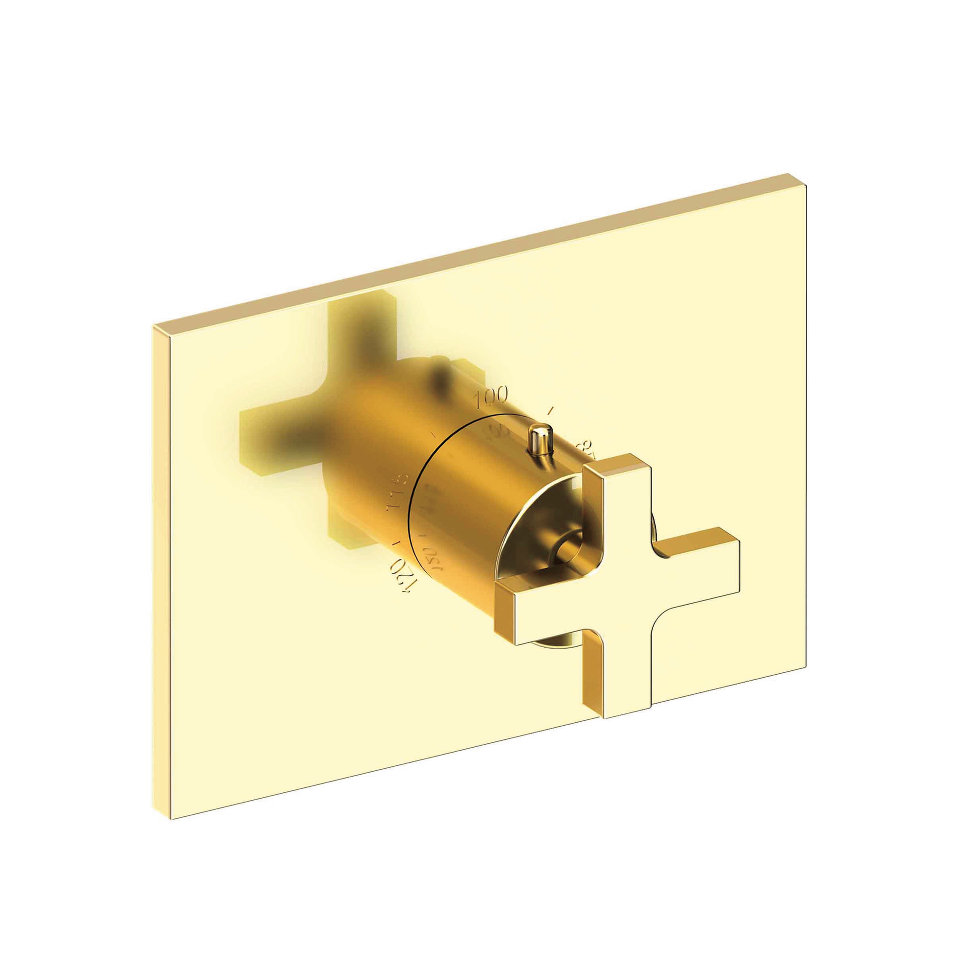 Newport Brass Secant® 3/4" Rectangular Thermostatic Trim Plate with Handle