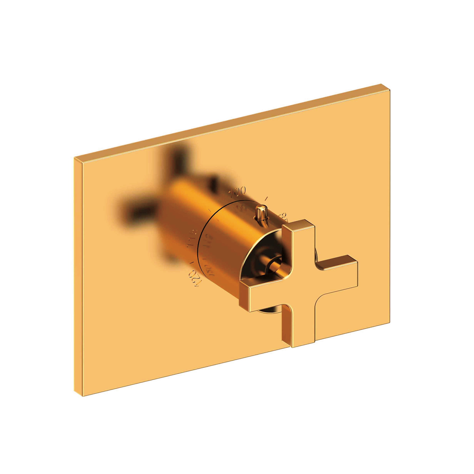 Newport Brass Secant® 3/4" Rectangular Thermostatic Trim Plate with Handle