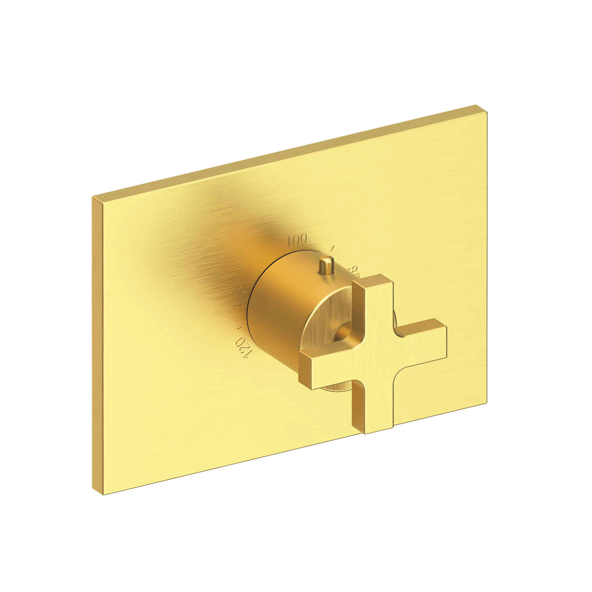 Newport Brass Secant® 3/4" Rectangular Thermostatic Trim Plate with Handle