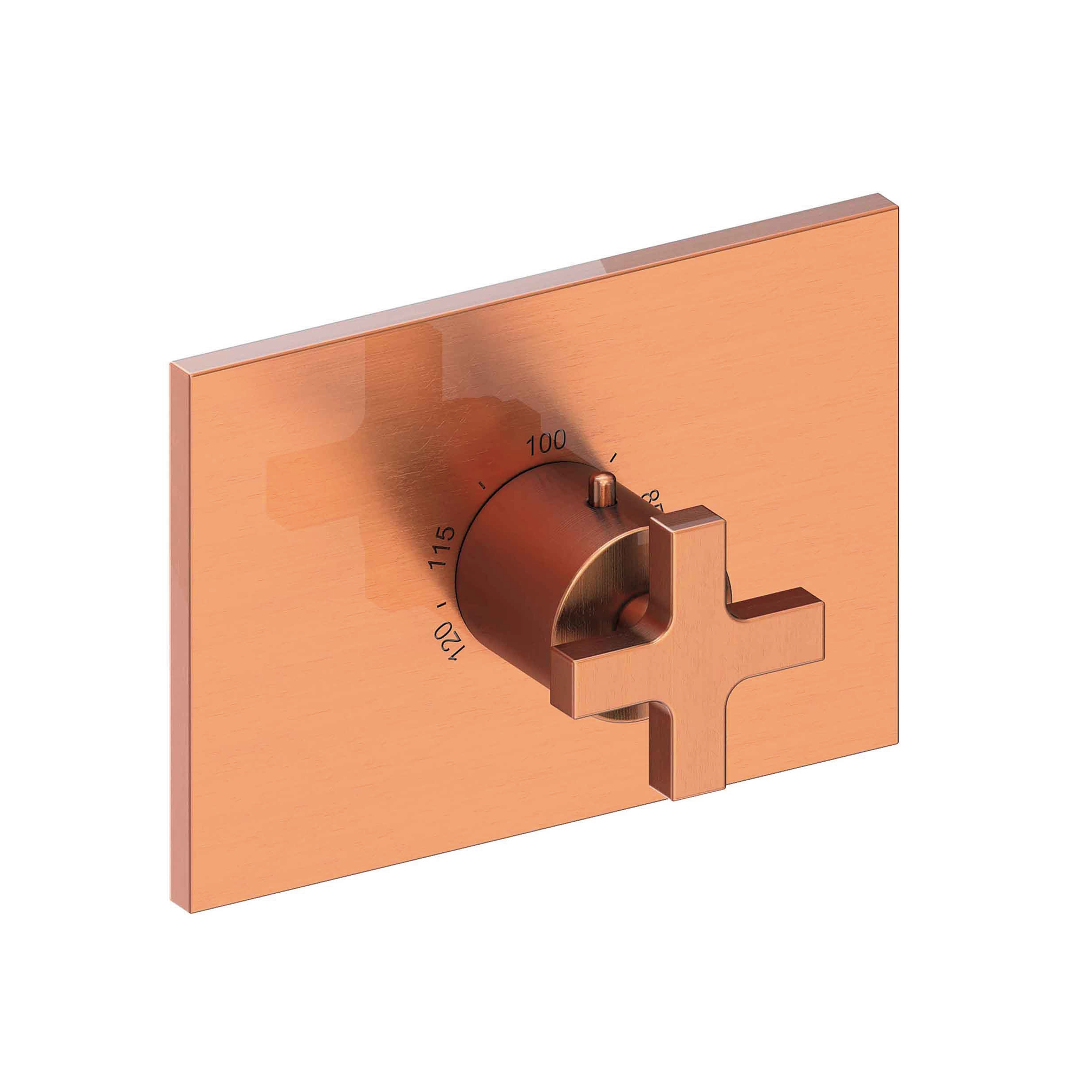 Newport Brass Secant® 3/4" Rectangular Thermostatic Trim Plate with Handle