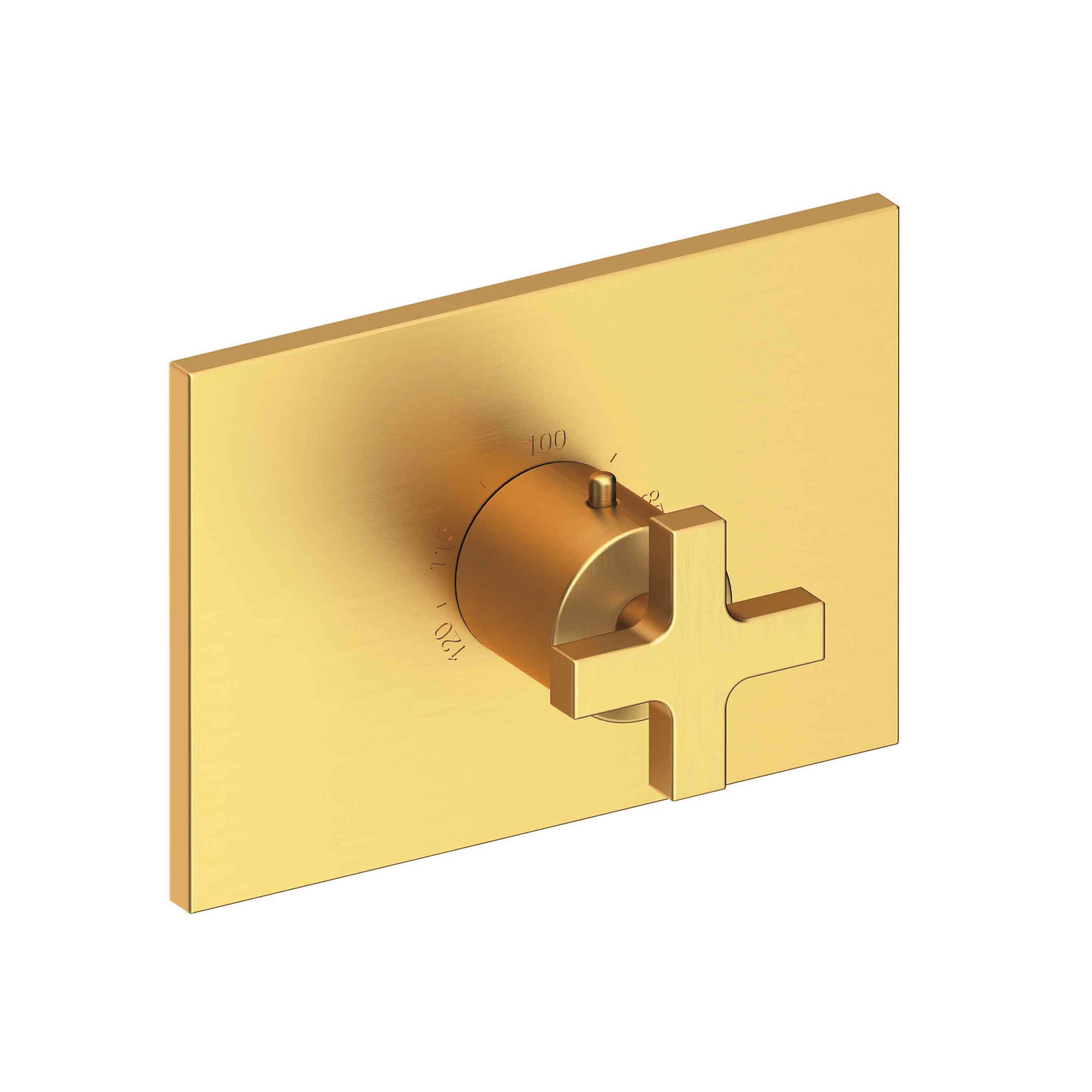 Newport Brass Secant® 3/4" Rectangular Thermostatic Trim Plate with Handle