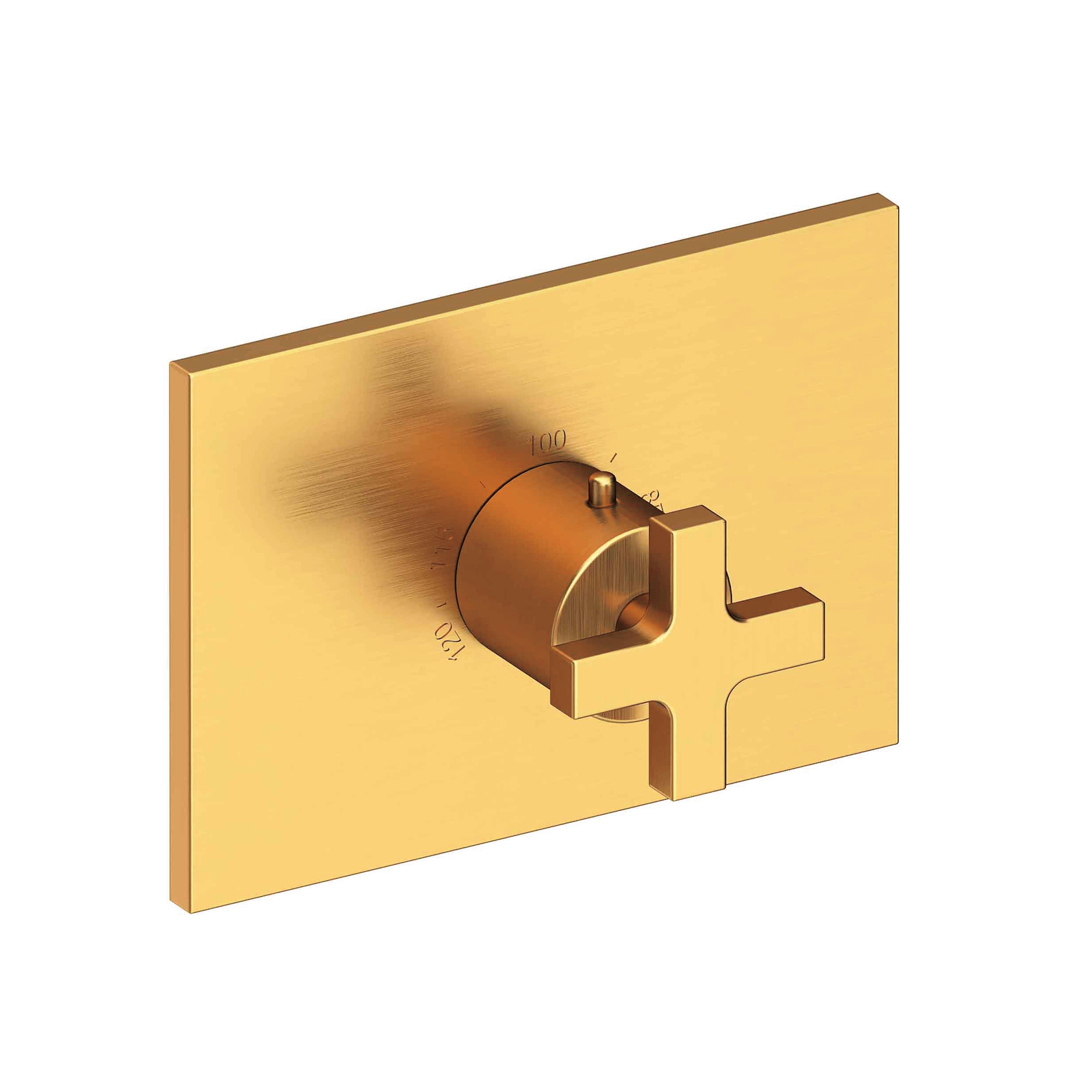 Newport Brass Secant® 3/4" Rectangular Thermostatic Trim Plate with Handle