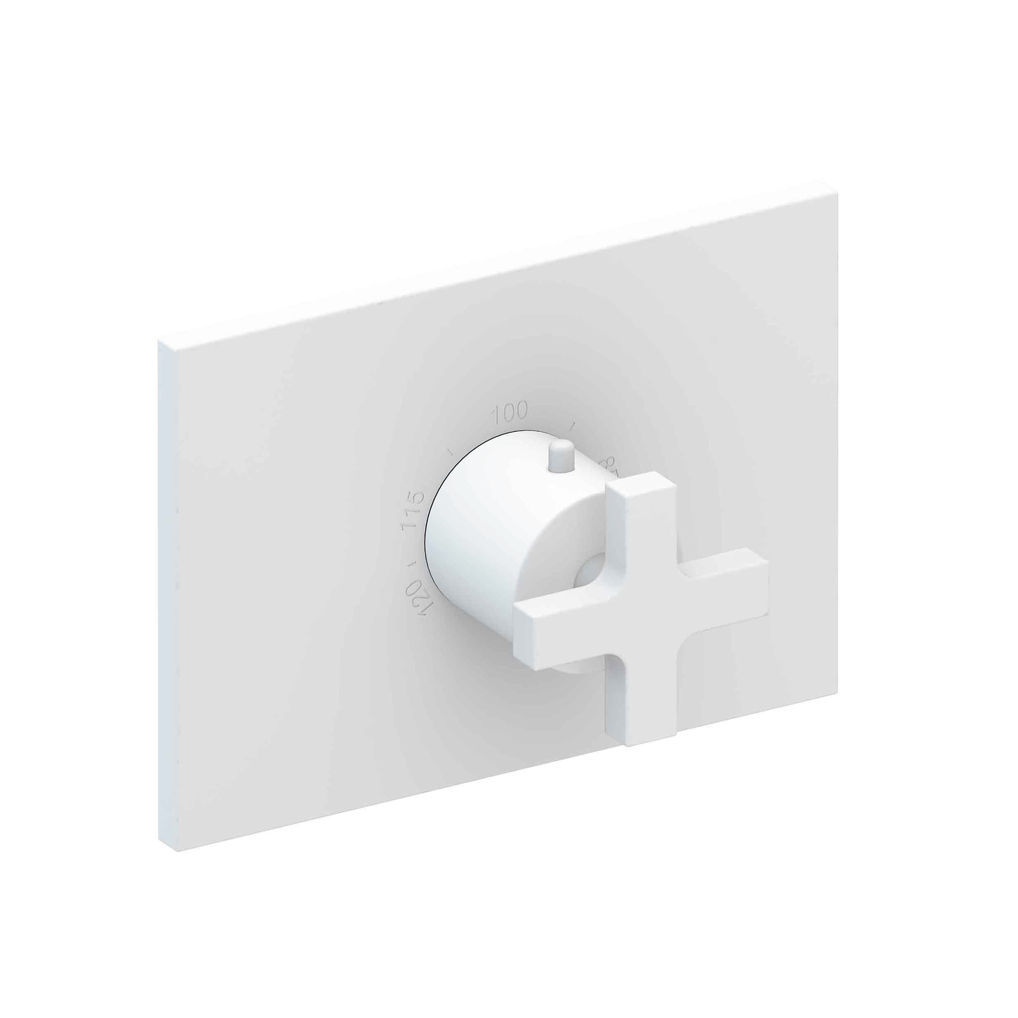 Newport Brass Secant® 3/4" Rectangular Thermostatic Trim Plate with Handle