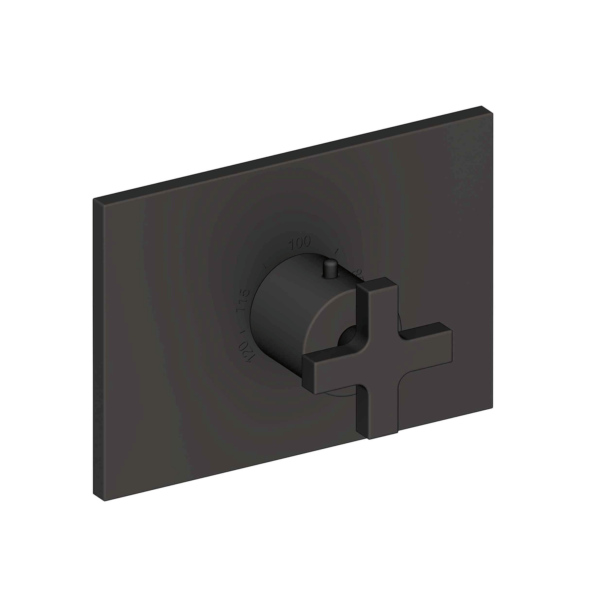 Newport Brass Secant® 3/4" Rectangular Thermostatic Trim Plate with Handle