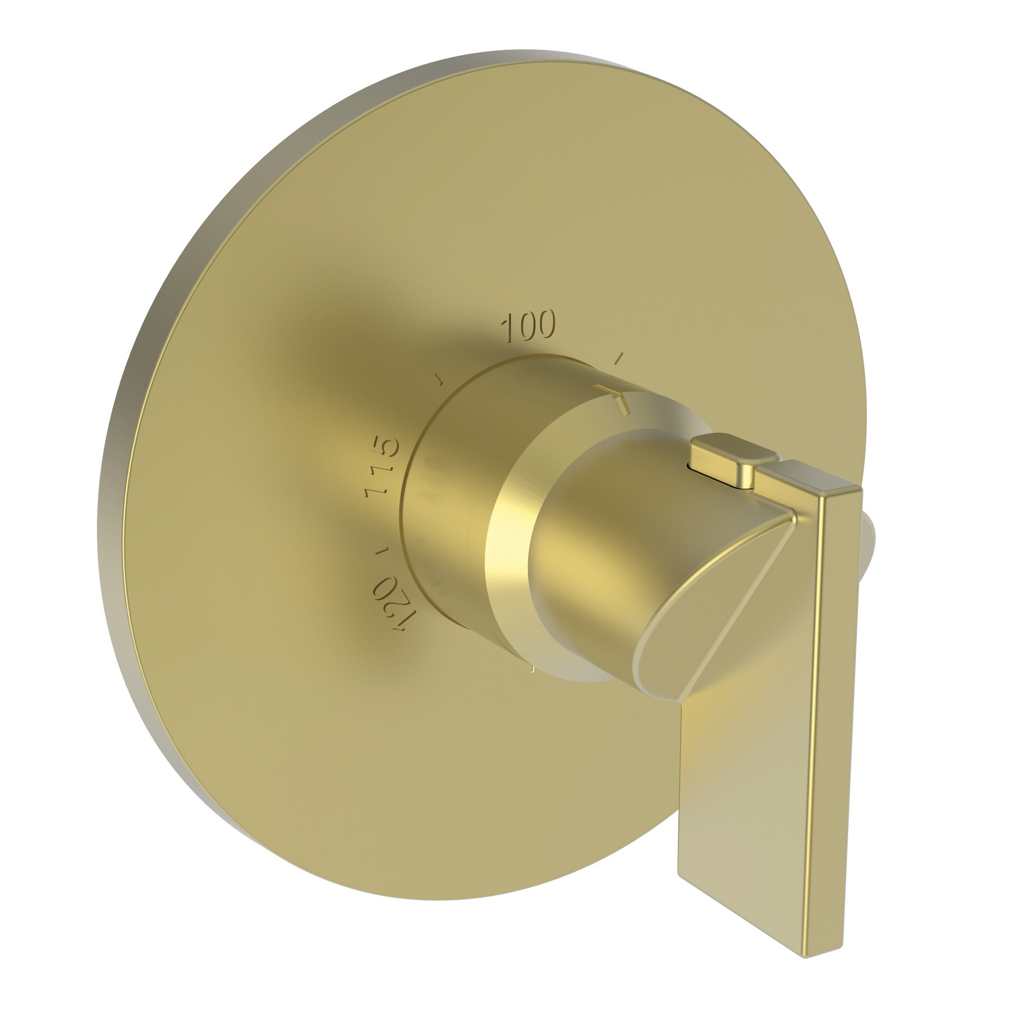Newport Brass Priya® 3/4" Round Thermostatic Trim Plate with Handle