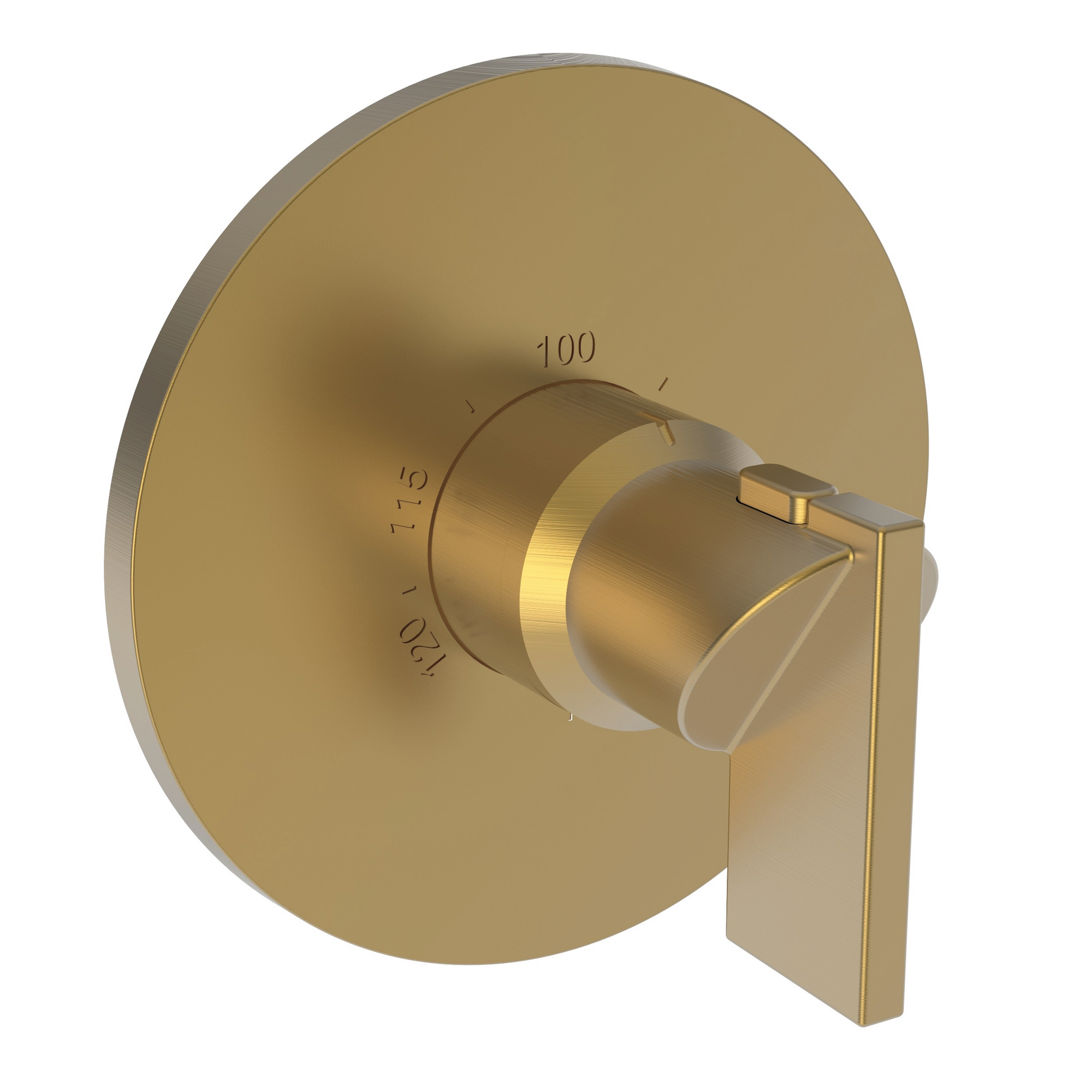 Newport Brass Priya® 3/4" Round Thermostatic Trim Plate with Handle