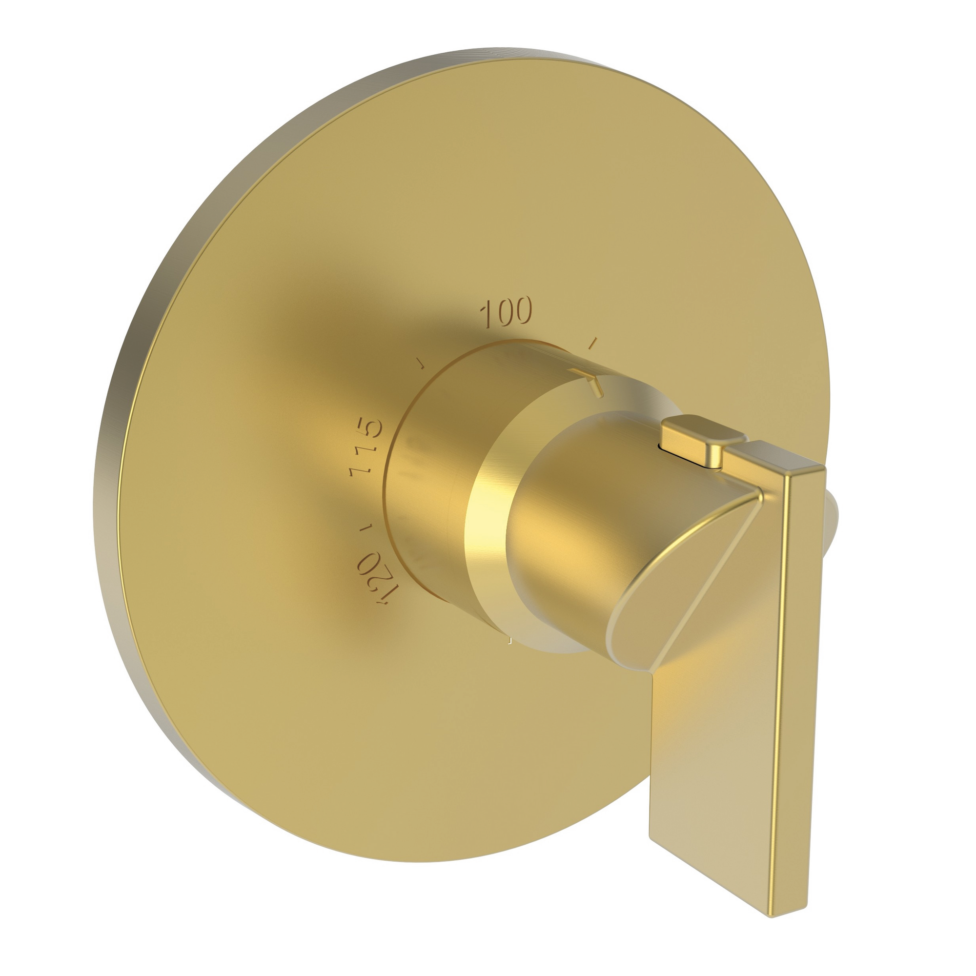 Newport Brass Priya® 3/4" Round Thermostatic Trim Plate with Handle