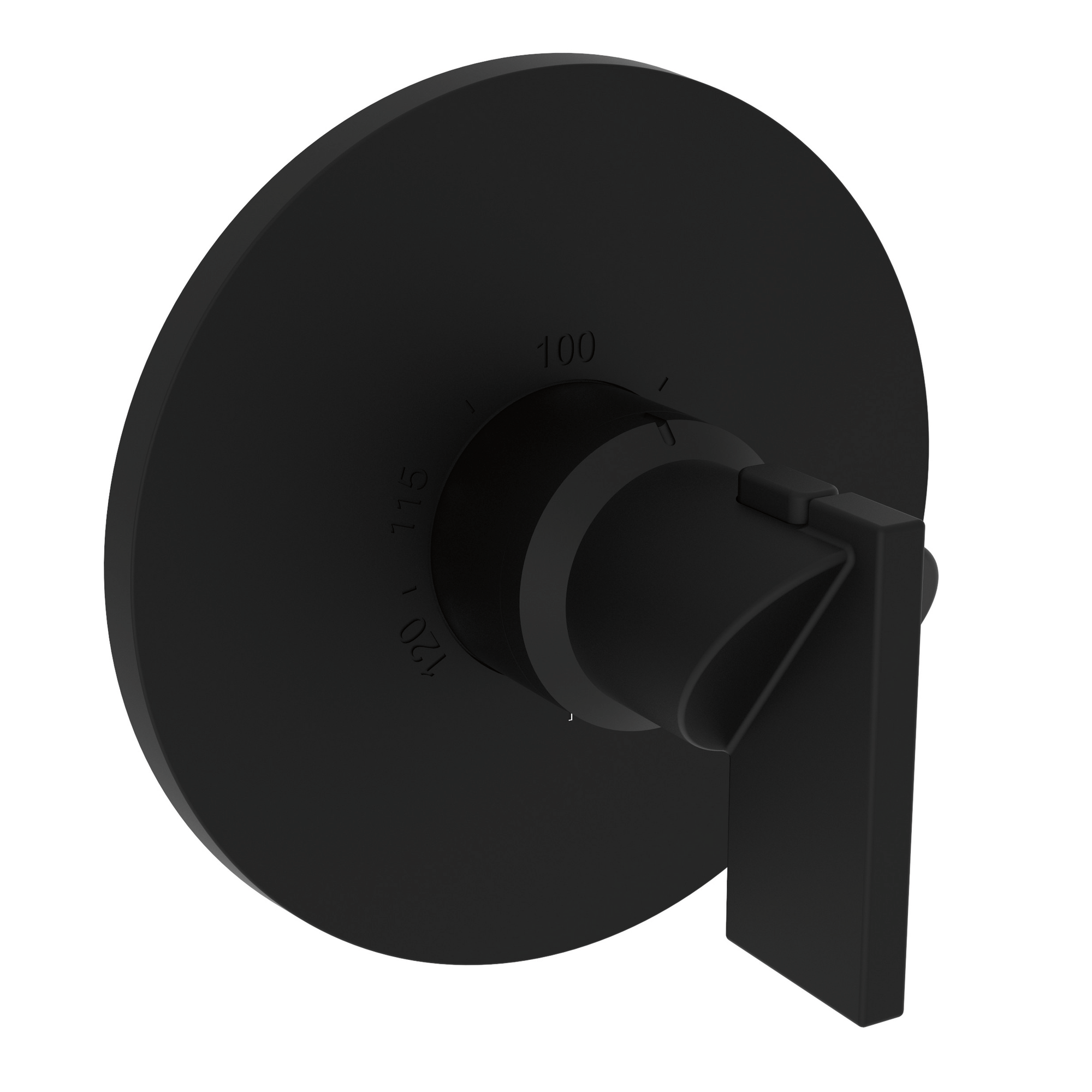 Newport Brass Priya® 3/4" Round Thermostatic Trim Plate with Handle