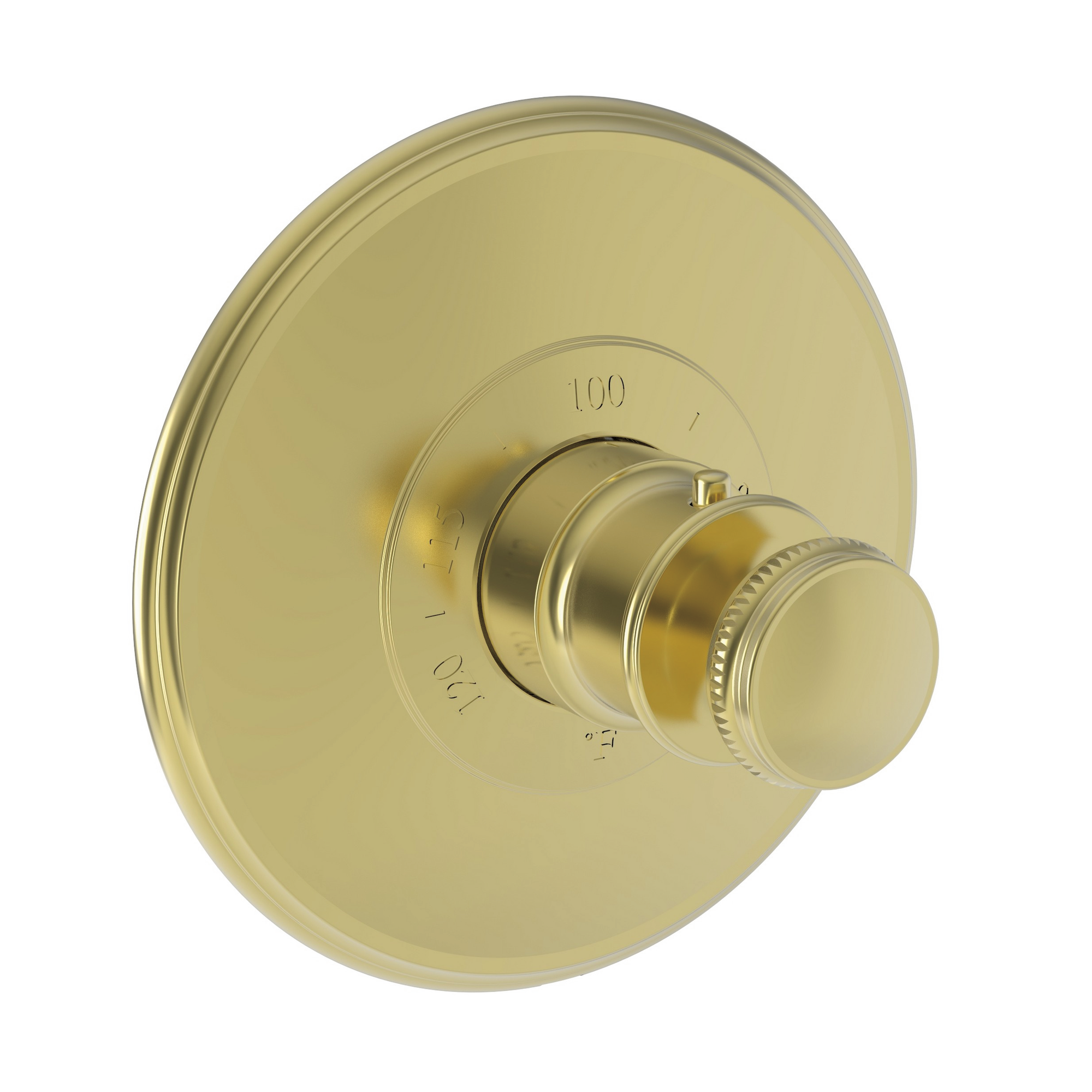 Newport Brass Ithaca® 3/4" Round Thermostatic Trim Plate with Handle
