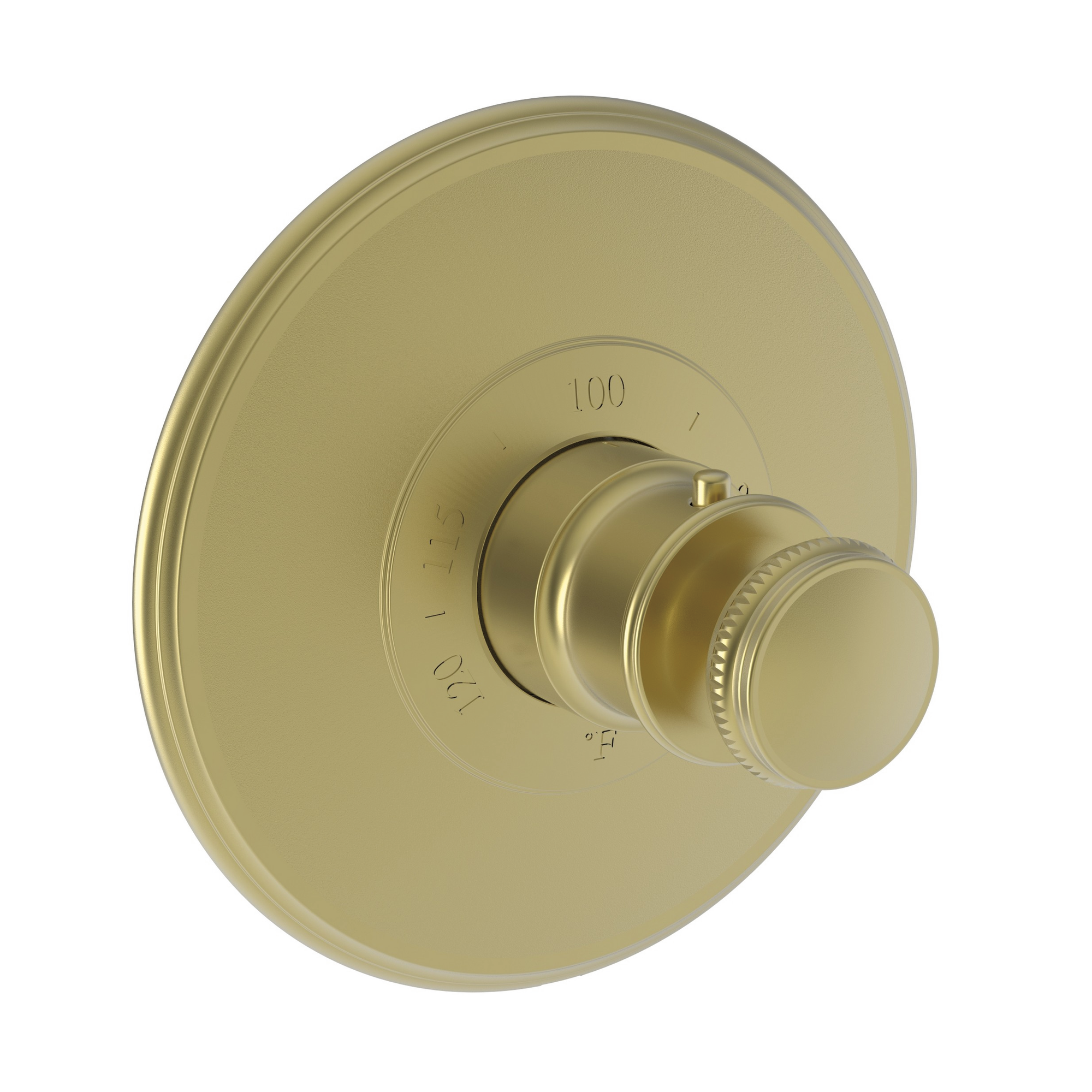 Newport Brass Ithaca® 3/4" Round Thermostatic Trim Plate with Handle