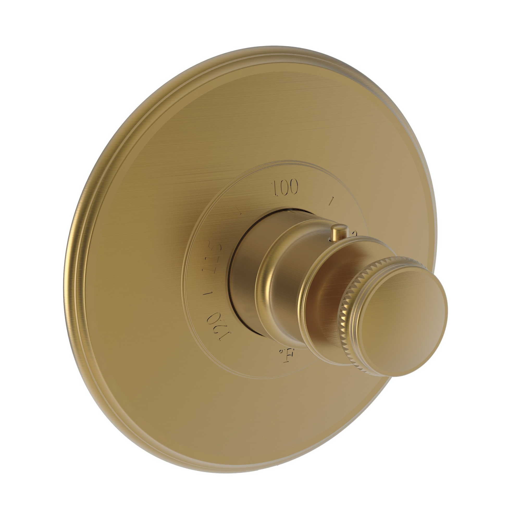 Newport Brass Ithaca® 3/4" Round Thermostatic Trim Plate with Handle