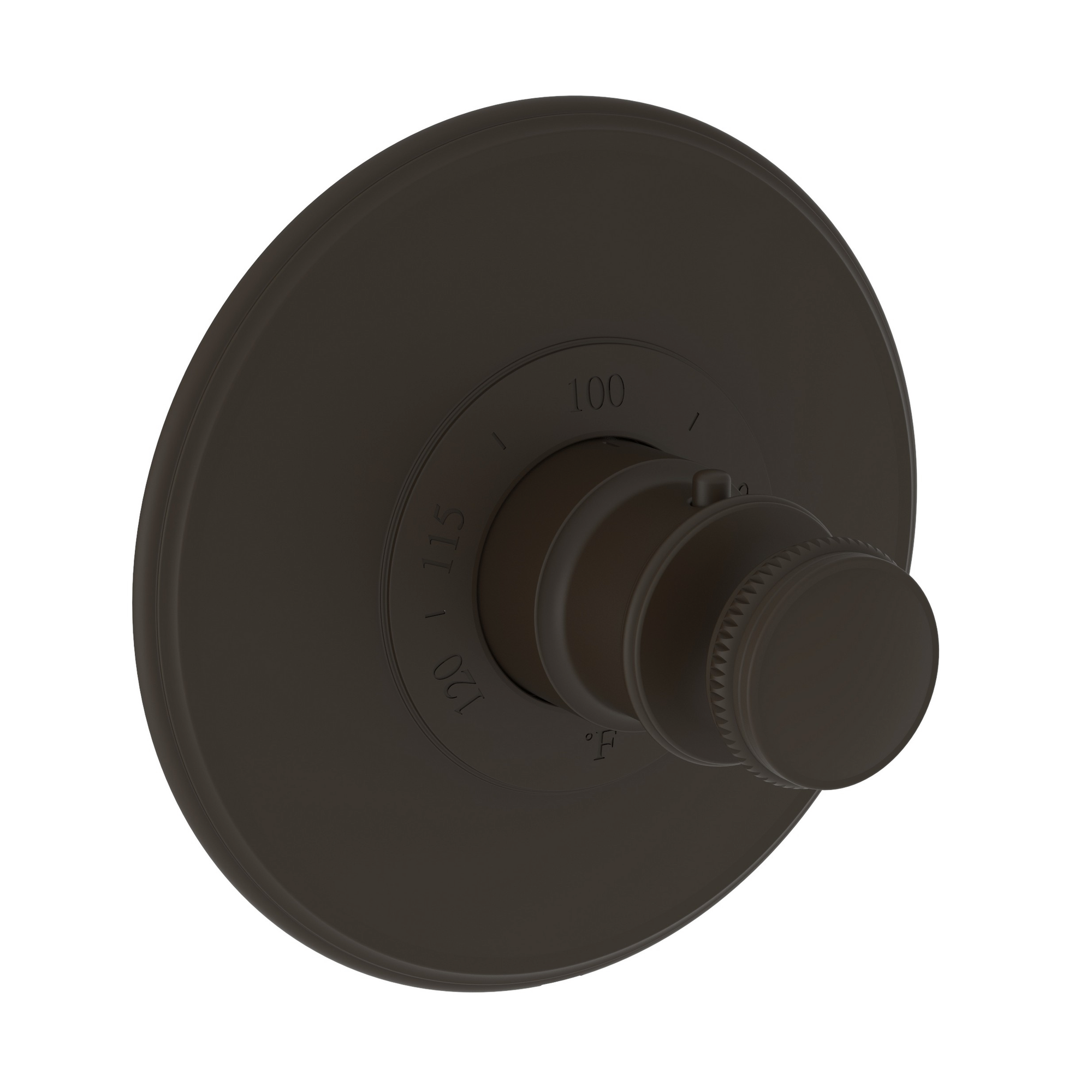 Newport Brass Ithaca® 3/4" Round Thermostatic Trim Plate with Handle