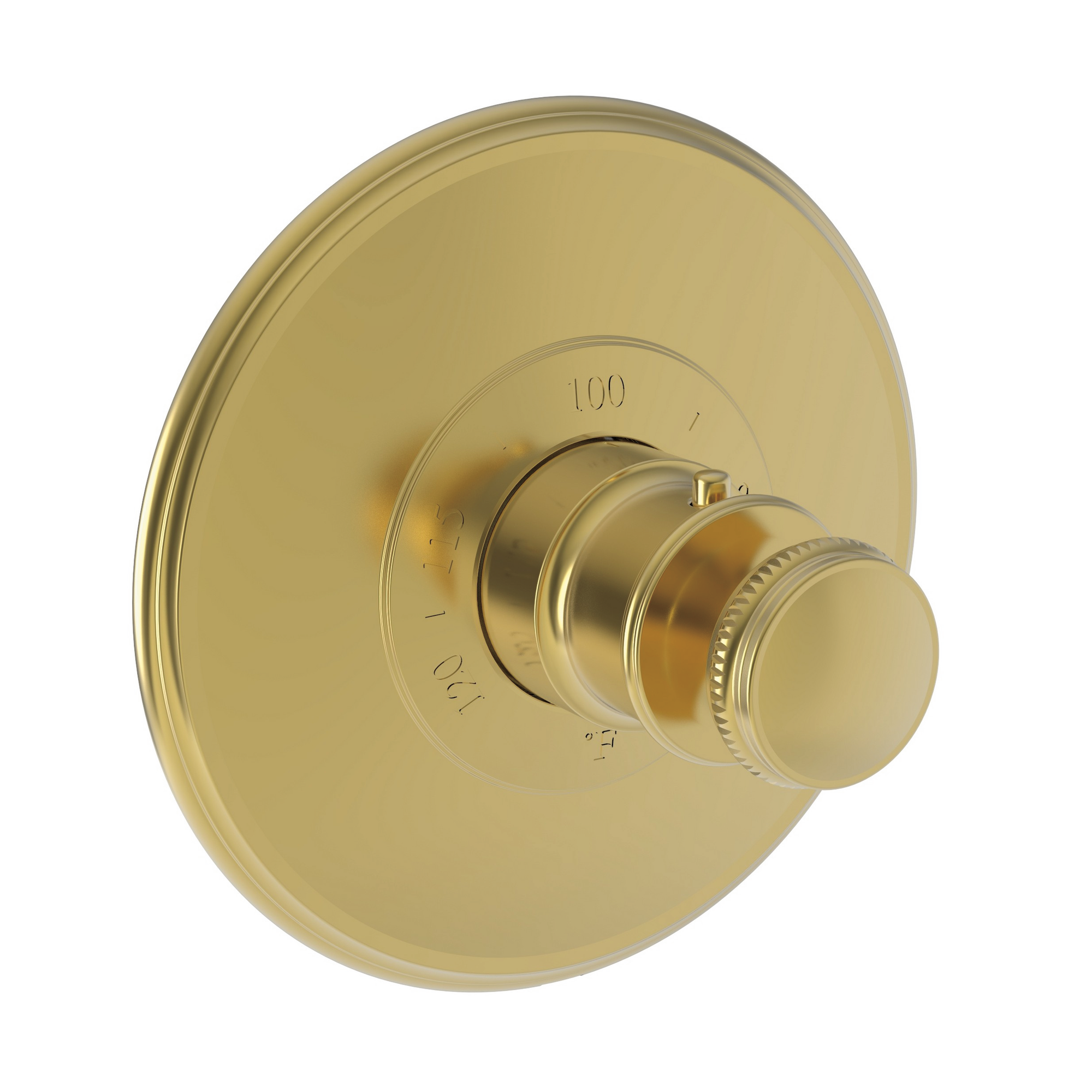 Newport Brass Ithaca® 3/4" Round Thermostatic Trim Plate with Handle