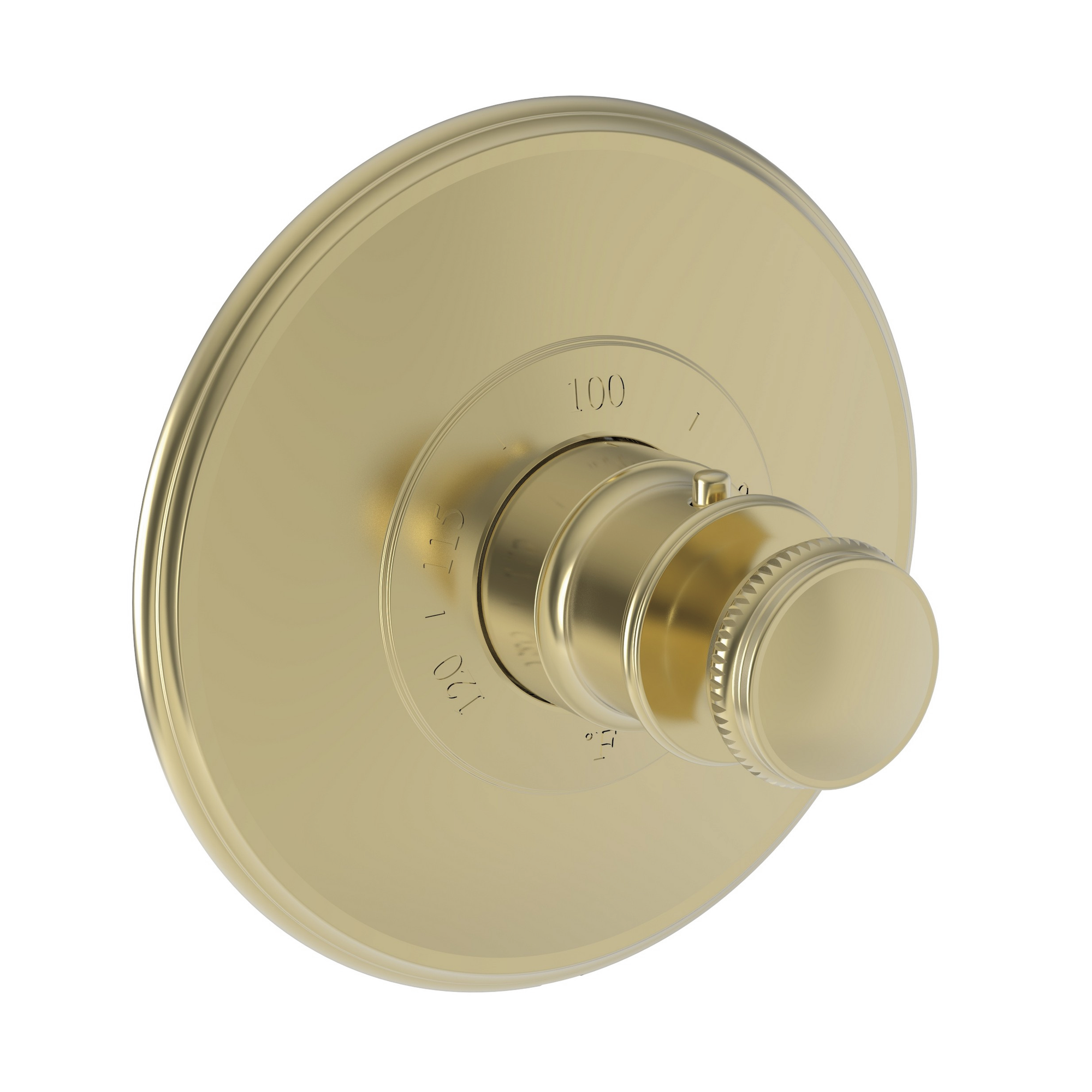 Newport Brass Ithaca® 3/4" Round Thermostatic Trim Plate with Handle