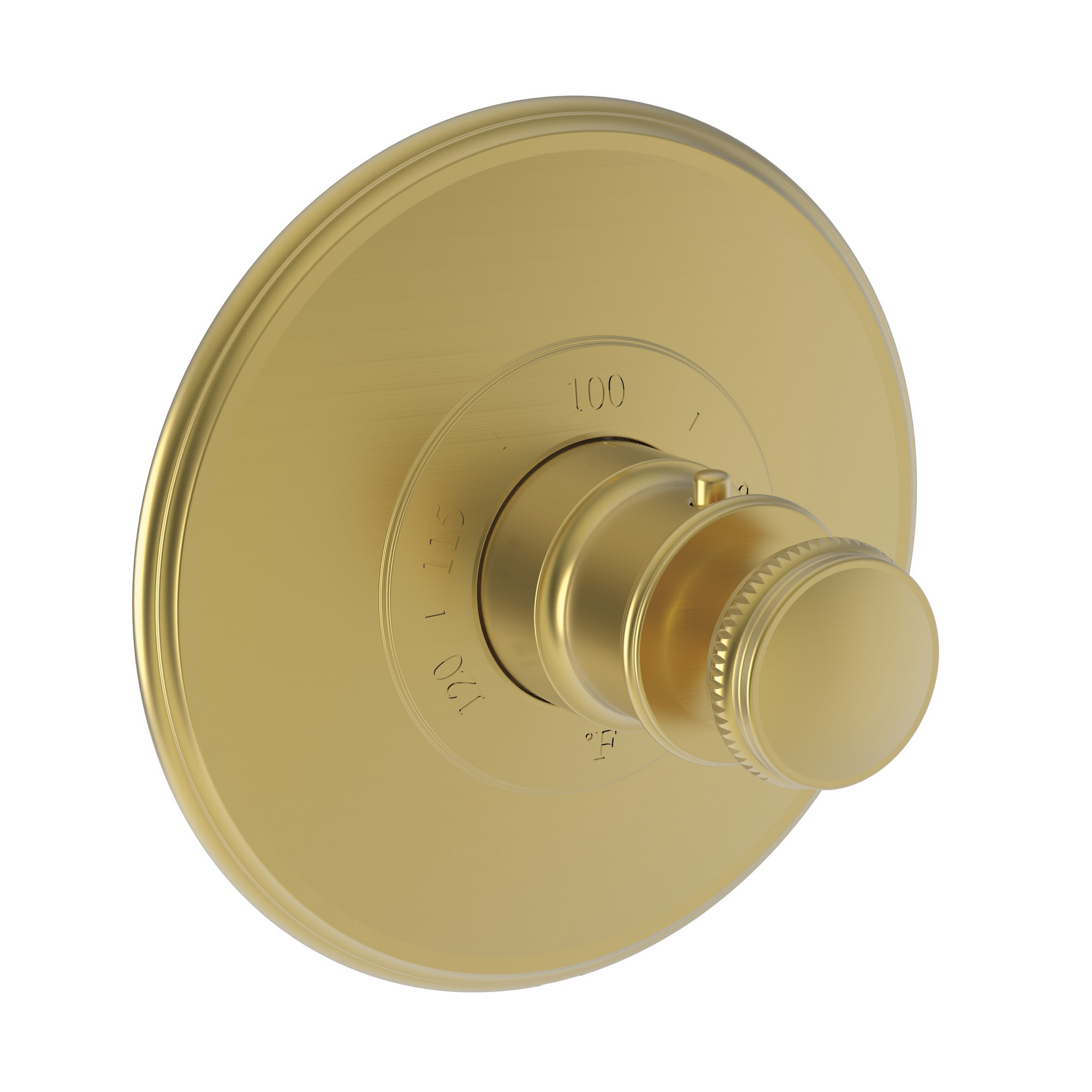 Newport Brass Ithaca® 3/4" Round Thermostatic Trim Plate with Handle