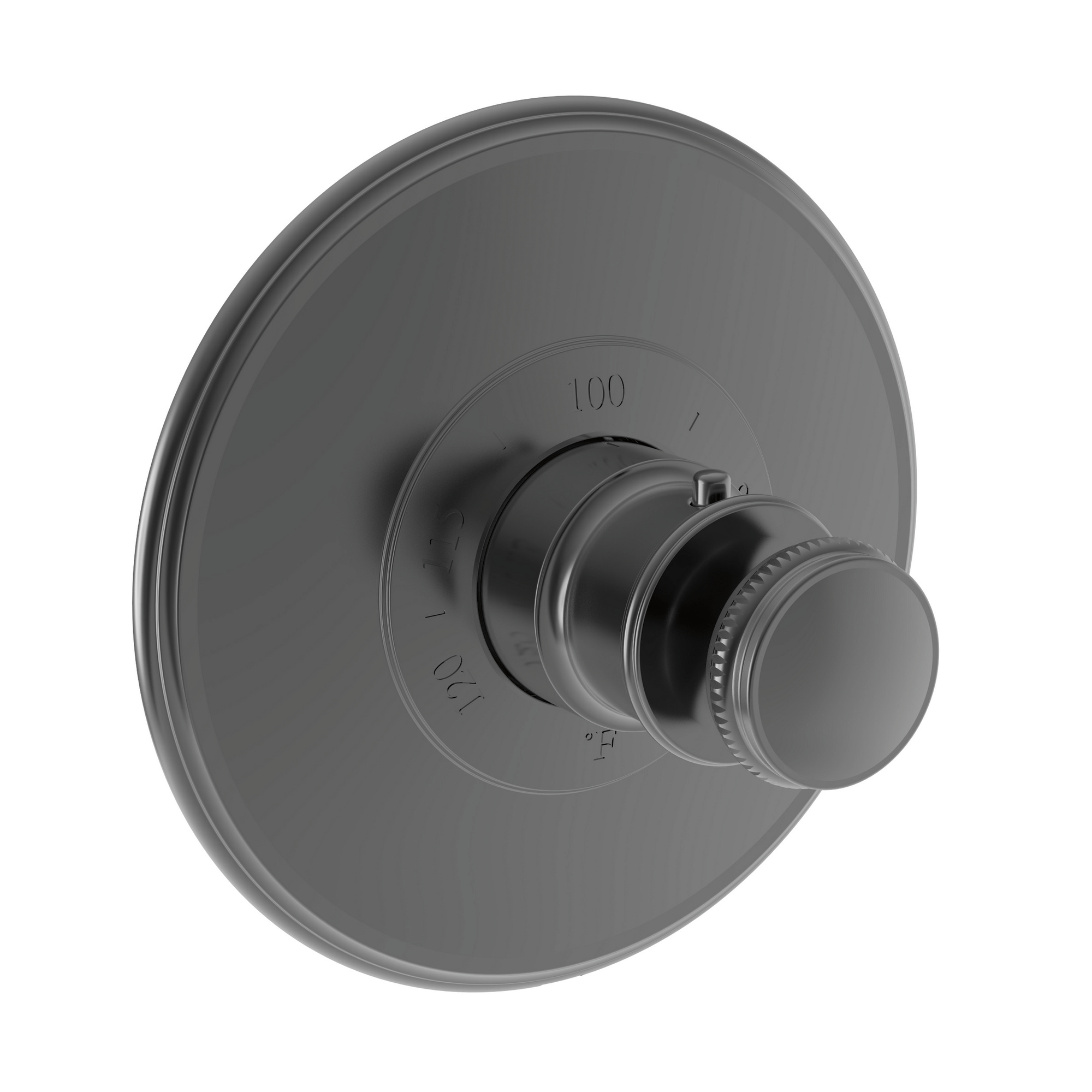 Newport Brass Ithaca® 3/4" Round Thermostatic Trim Plate with Handle