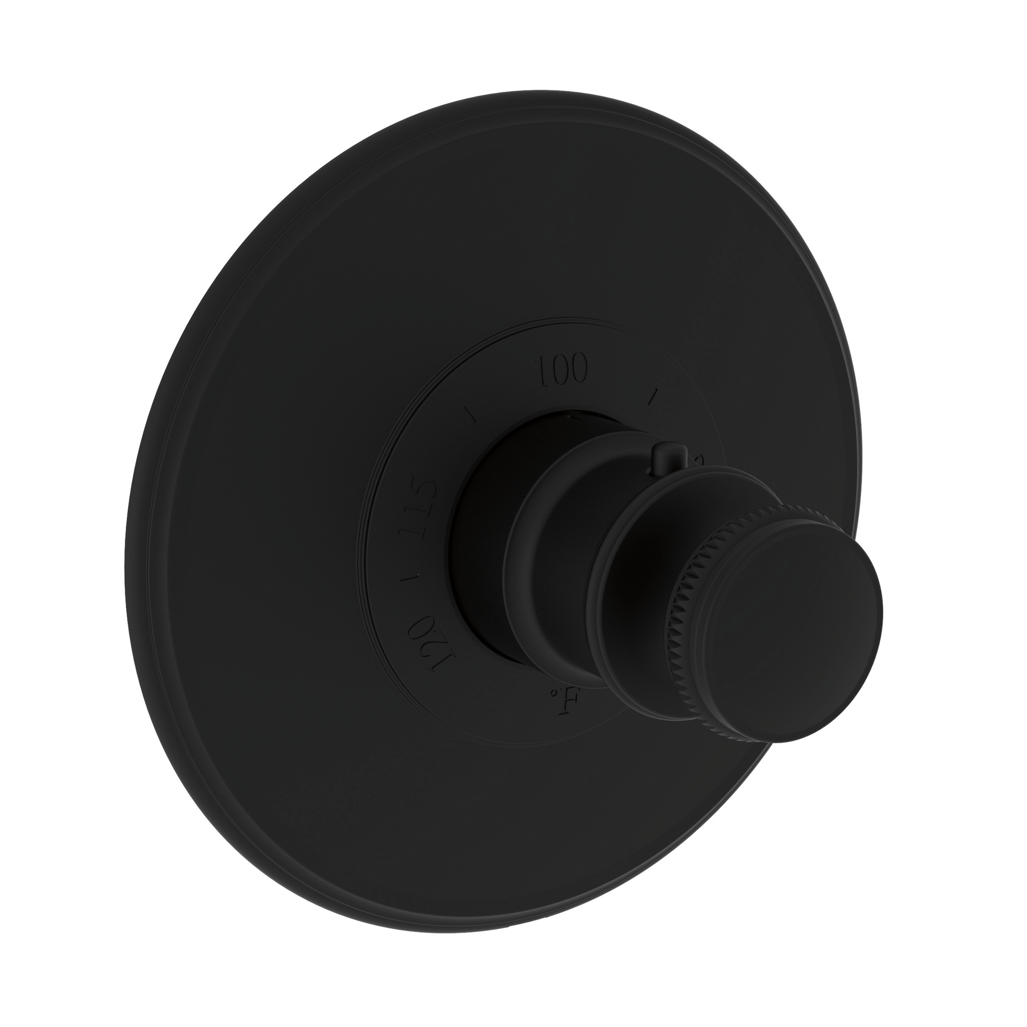Newport Brass Ithaca® 3/4" Round Thermostatic Trim Plate with Handle