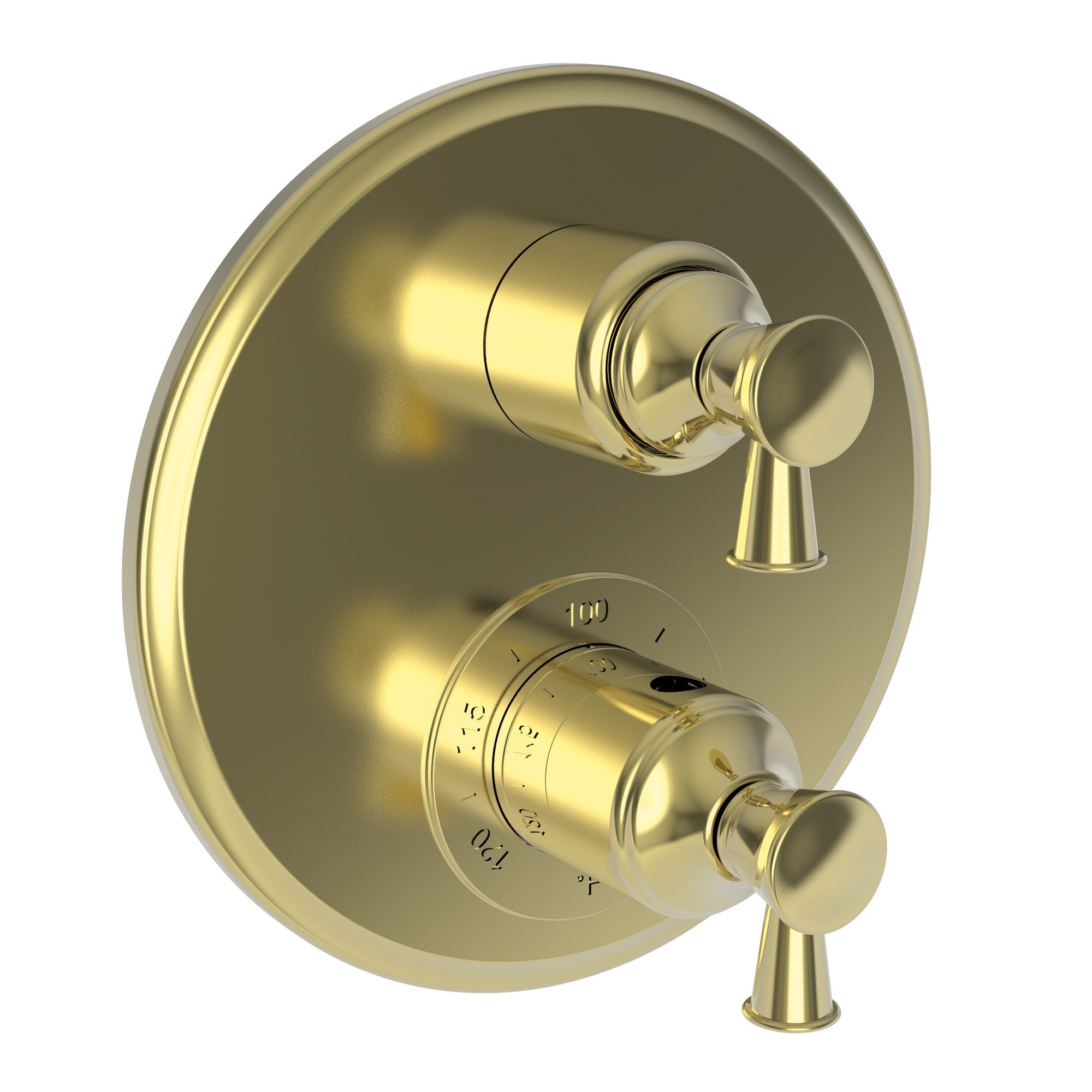 Newport Brass Vander 1/2" Round Thermostatic Trim Plate with Handle