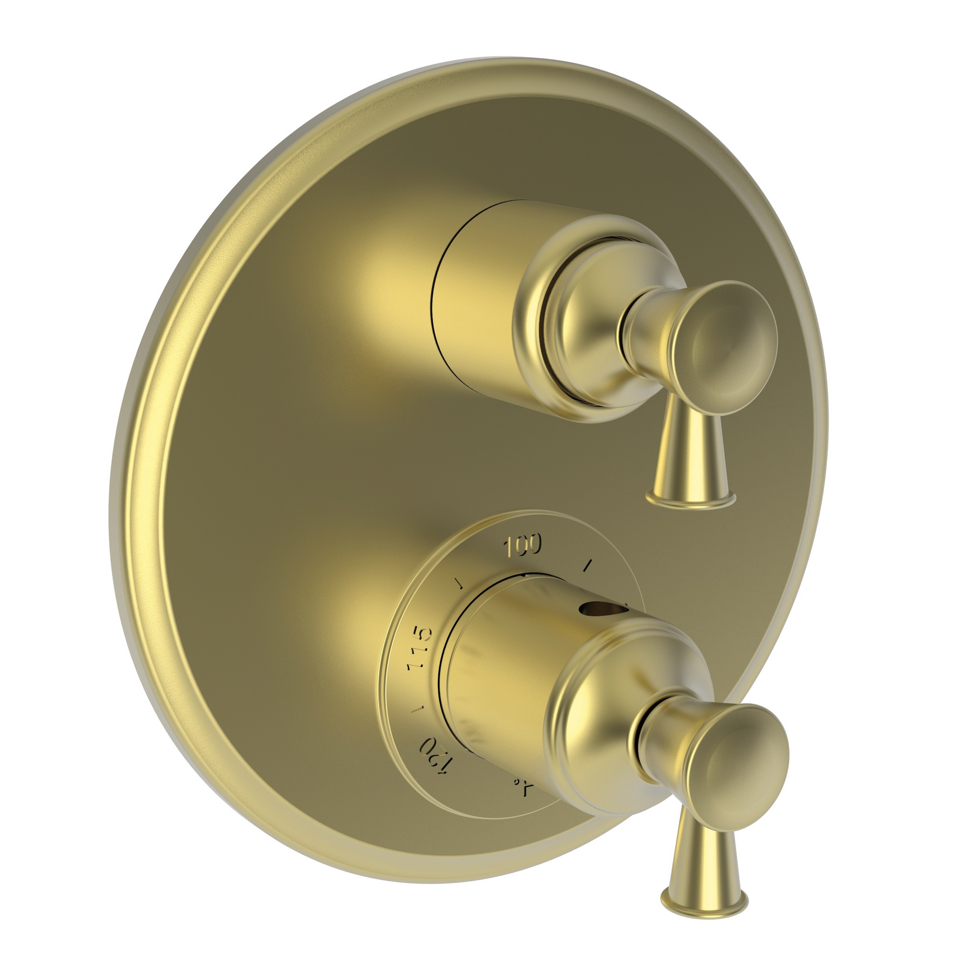 Newport Brass Vander 1/2" Round Thermostatic Trim Plate with Handle