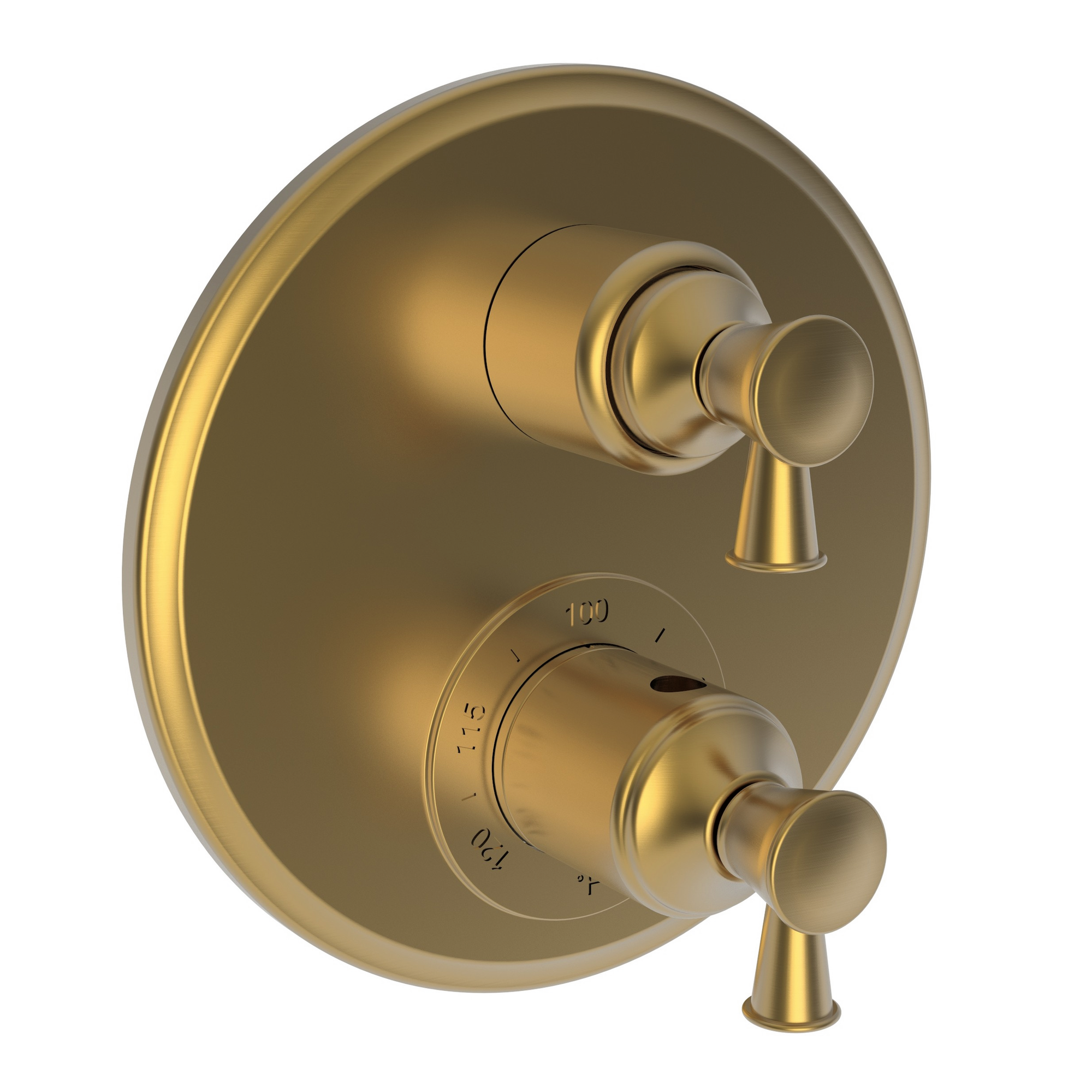 Newport Brass Vander 1/2" Round Thermostatic Trim Plate with Handle