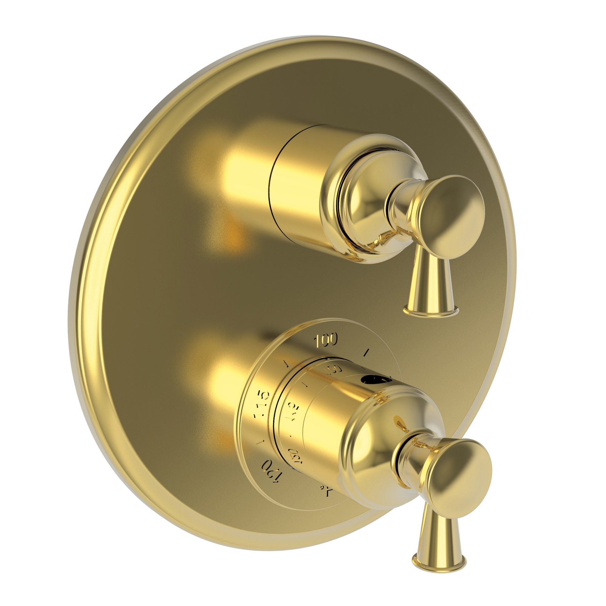 Newport Brass Vander 1/2" Round Thermostatic Trim Plate with Handle