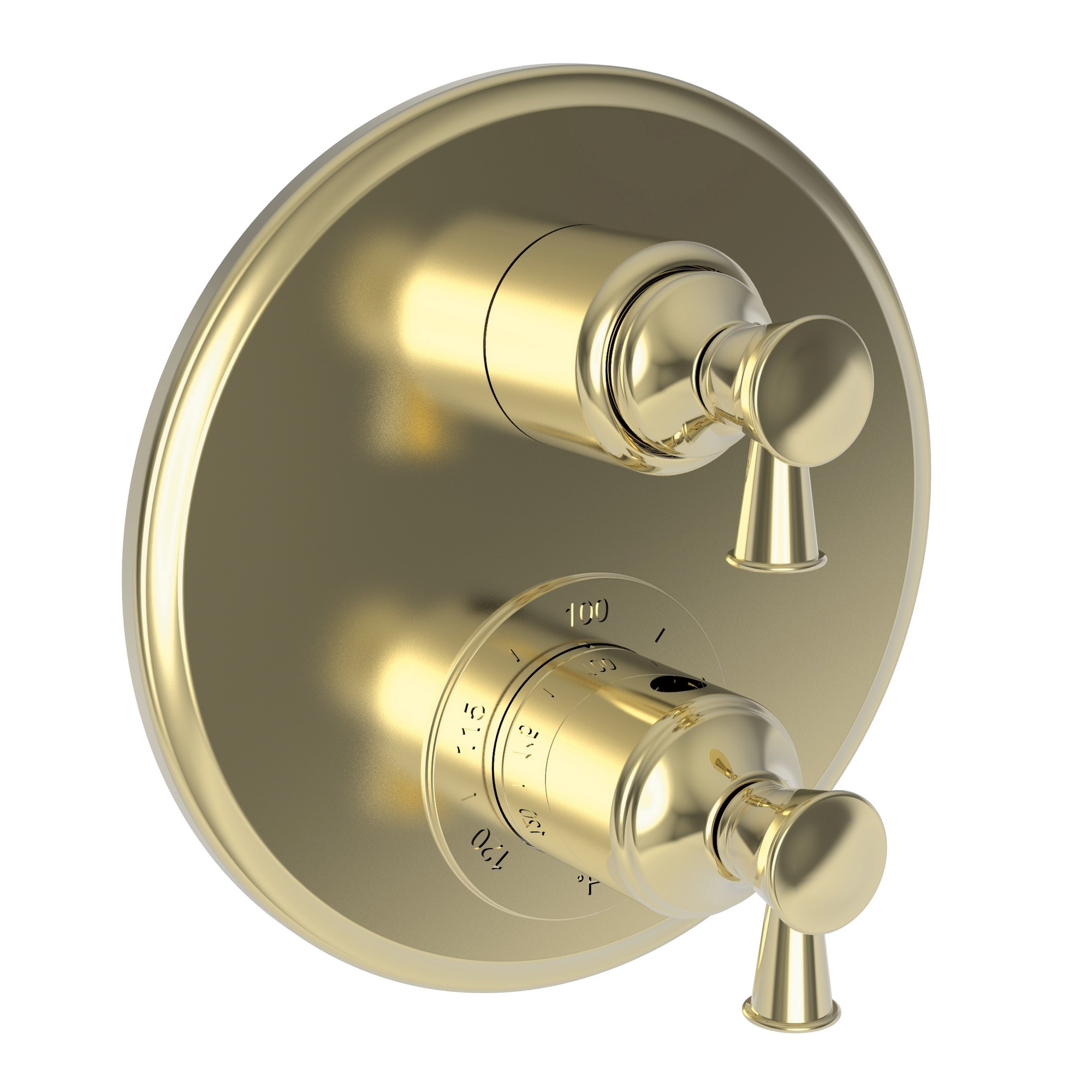 Newport Brass Vander 1/2" Round Thermostatic Trim Plate with Handle