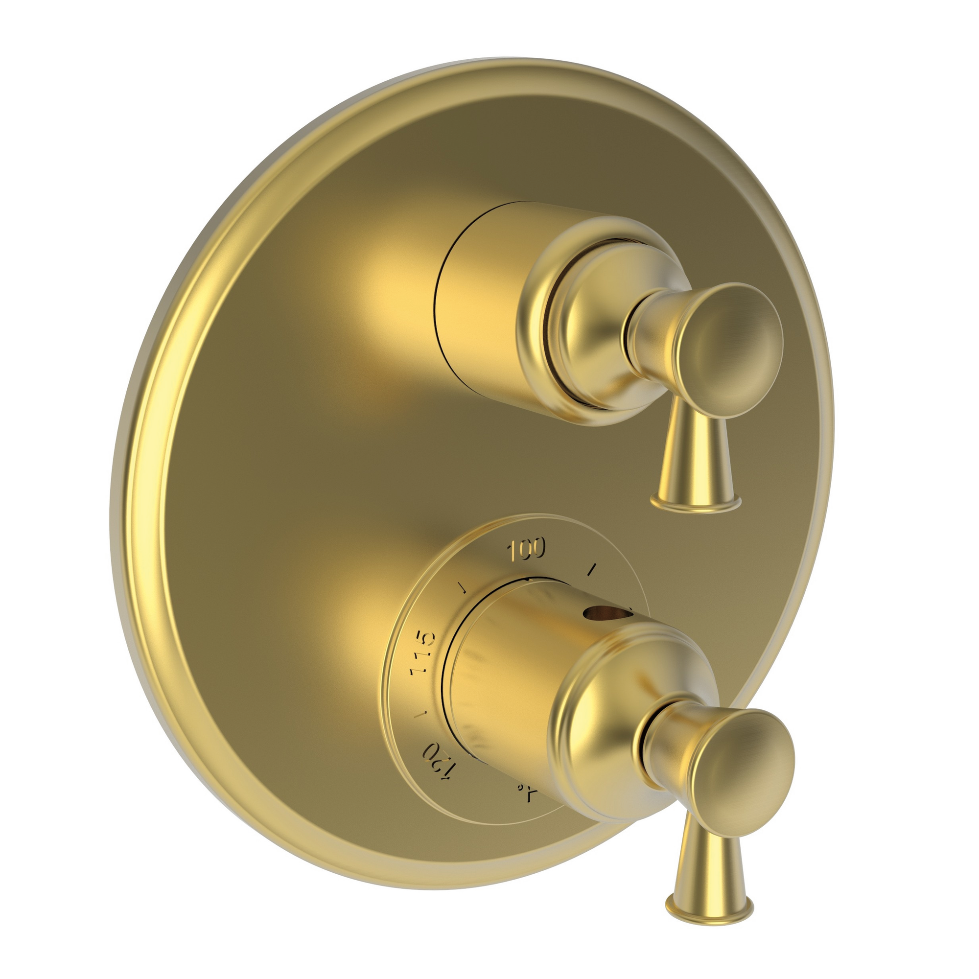 Newport Brass Vander 1/2" Round Thermostatic Trim Plate with Handle