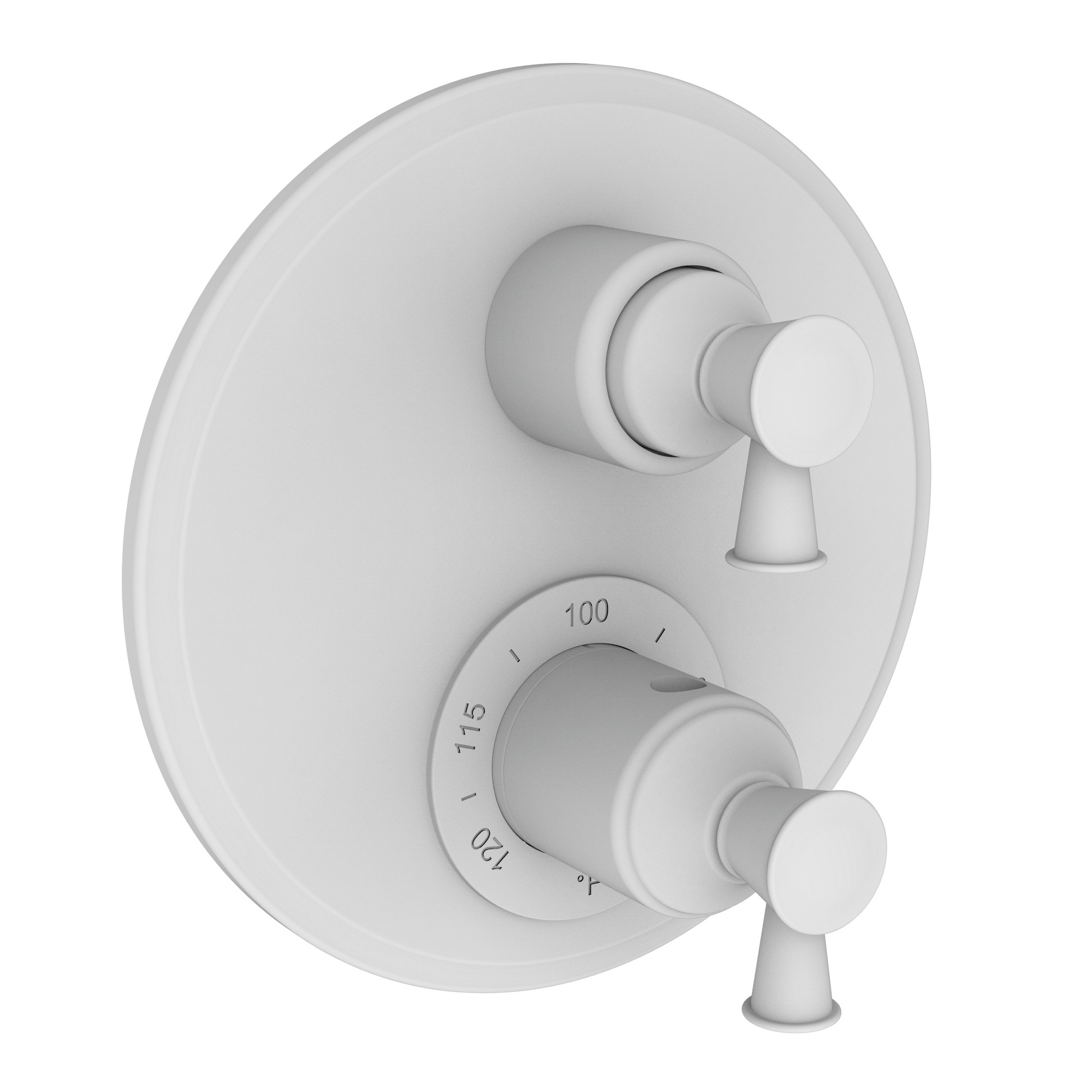 Newport Brass Vander 1/2" Round Thermostatic Trim Plate with Handle