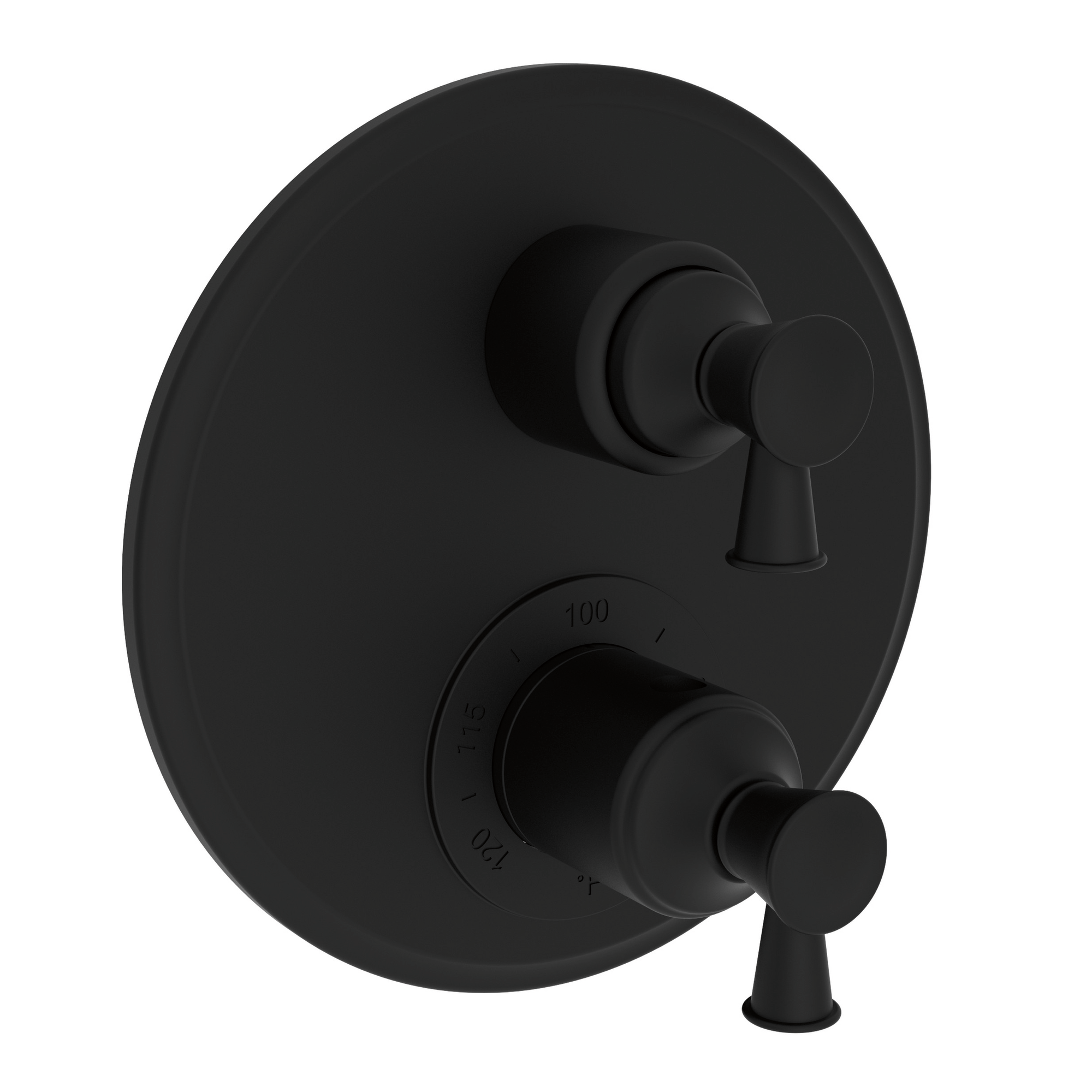 Newport Brass Vander 1/2" Round Thermostatic Trim Plate with Handle