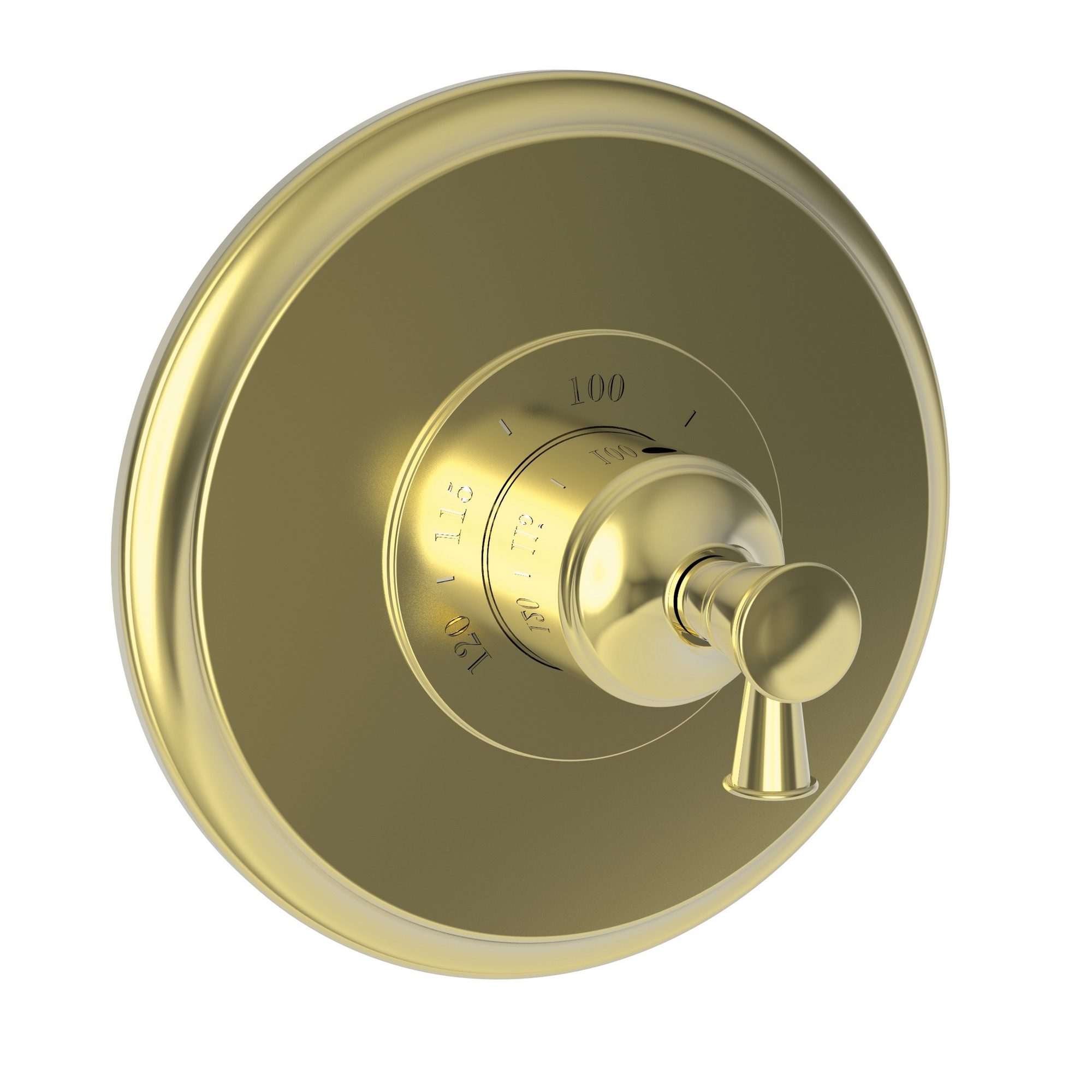 Newport Brass Vander 3/4" Round Thermostatic Trim Plate with Handle