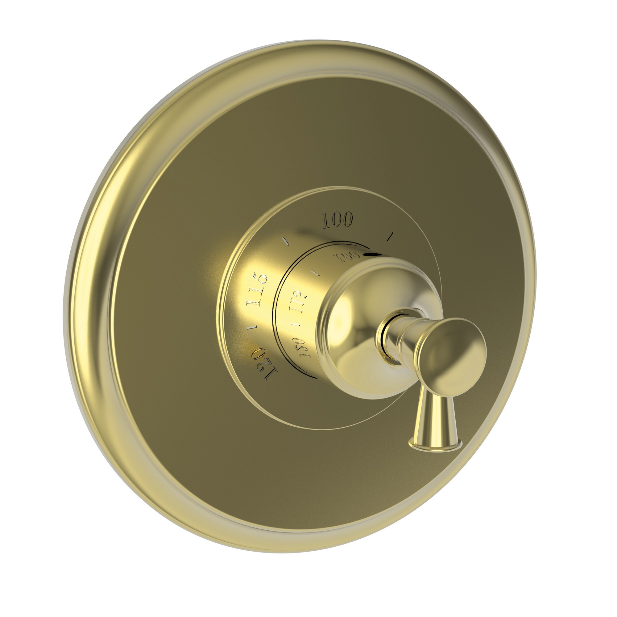 Newport Brass Vander 3/4" Round Thermostatic Trim Plate with Handle