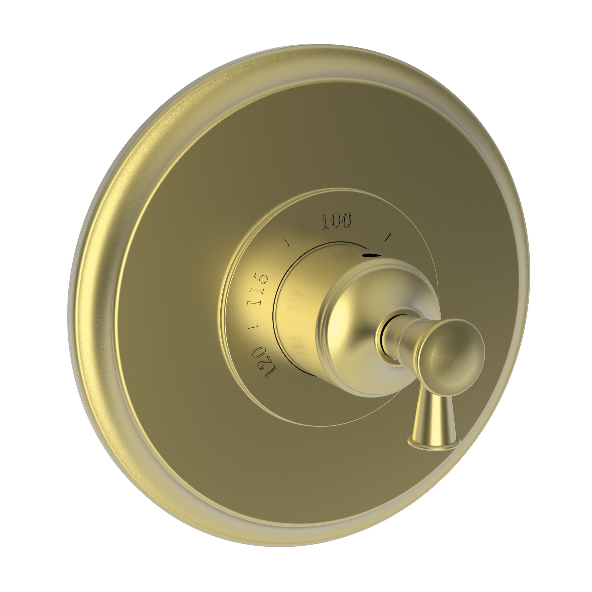 Newport Brass Vander 3/4" Round Thermostatic Trim Plate with Handle
