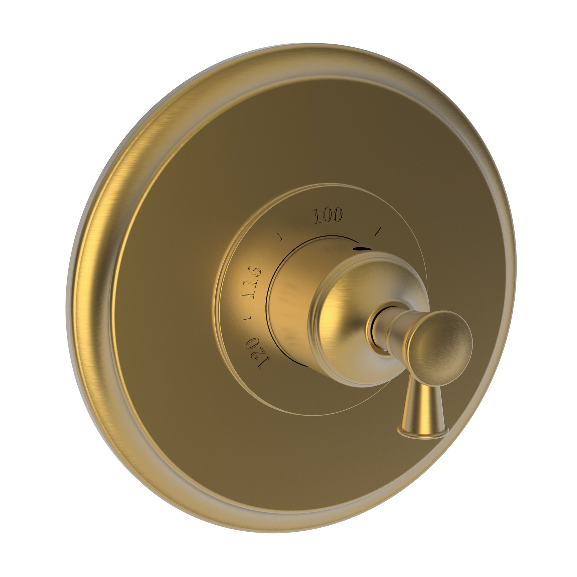 Newport Brass Vander 3/4" Round Thermostatic Trim Plate with Handle