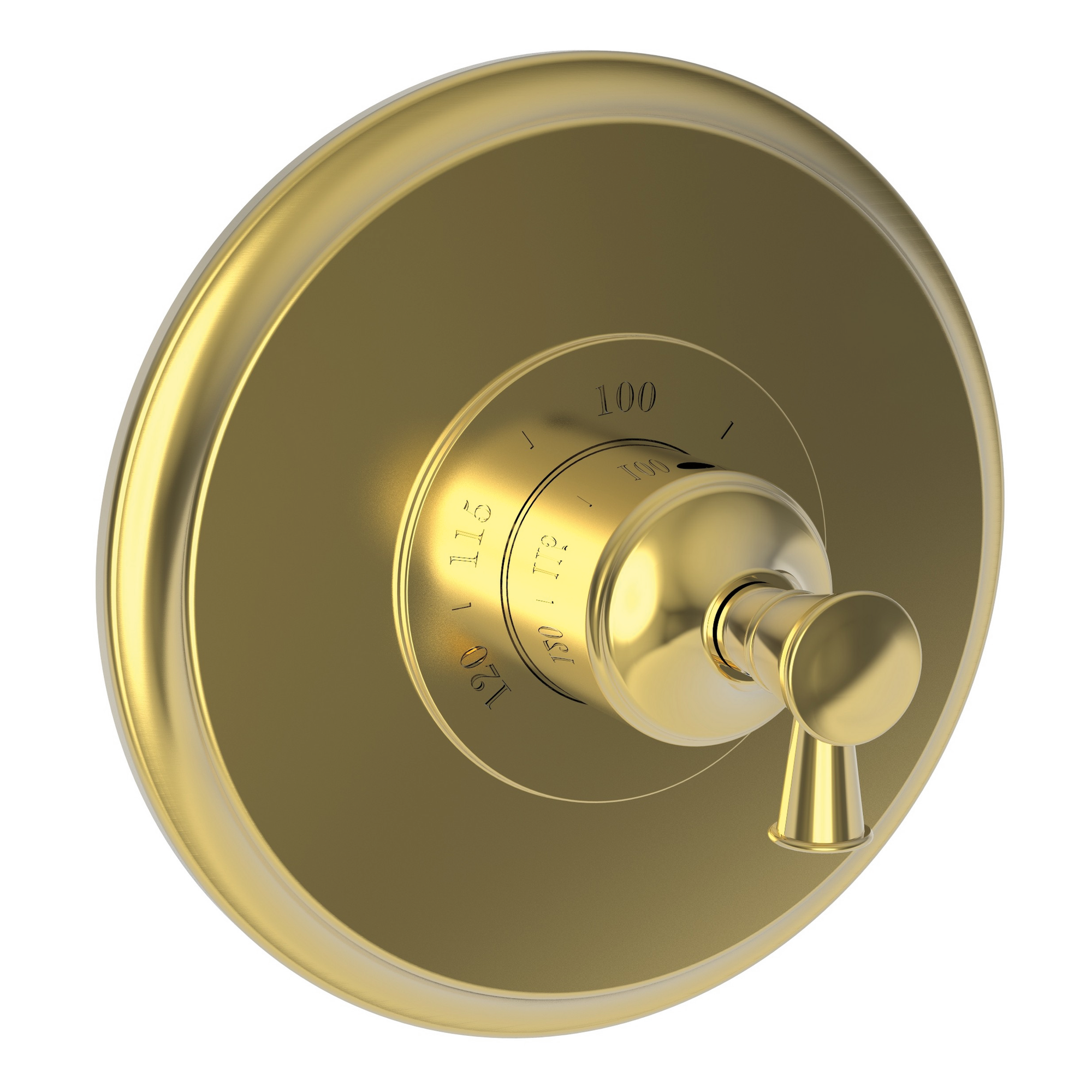 Newport Brass Vander 3/4" Round Thermostatic Trim Plate with Handle