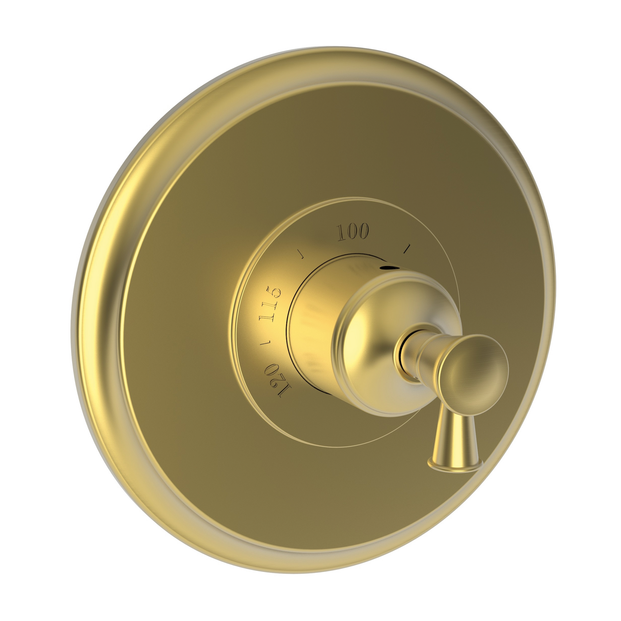 Newport Brass Vander 3/4" Round Thermostatic Trim Plate with Handle