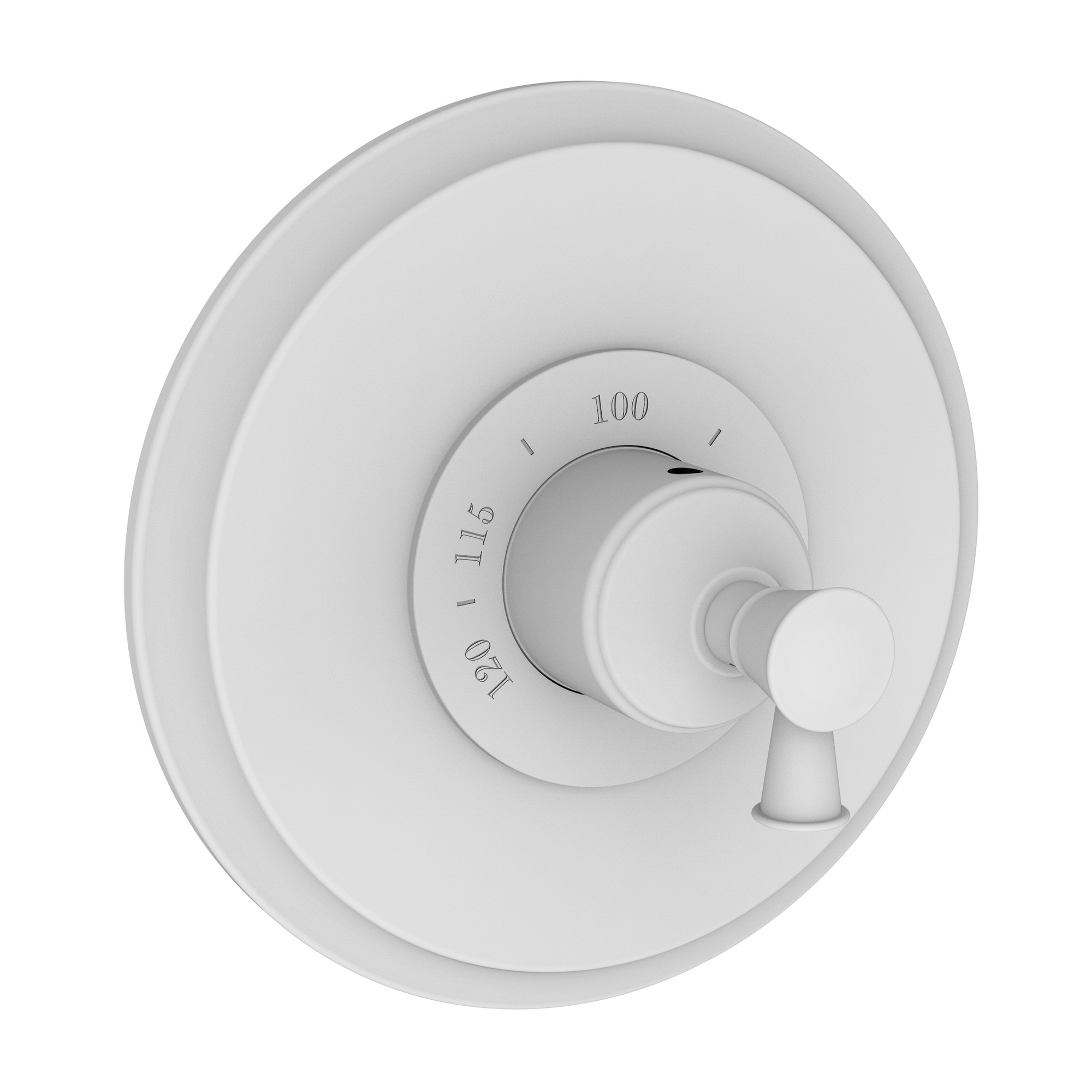 Newport Brass Vander 3/4" Round Thermostatic Trim Plate with Handle