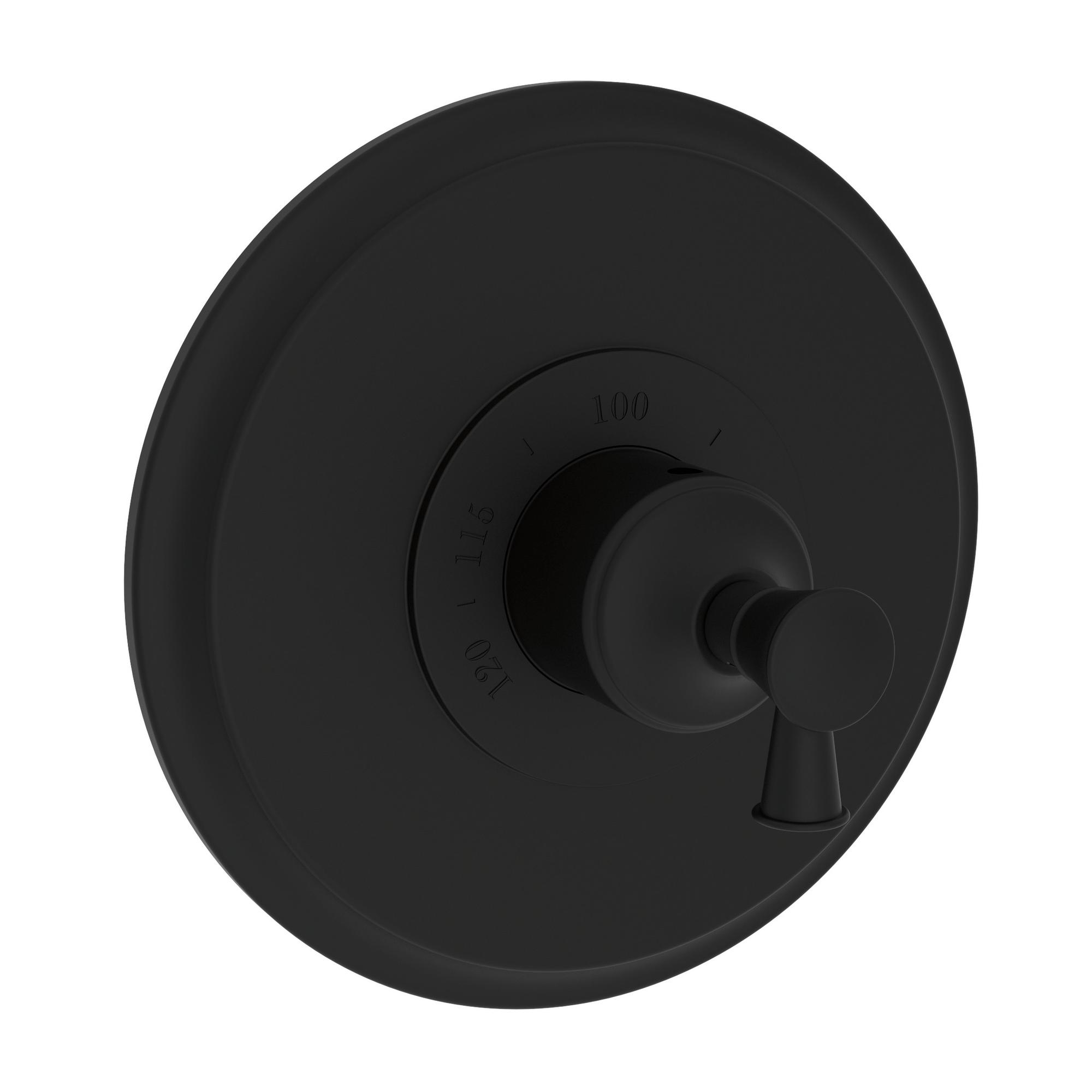 Newport Brass Vander 3/4" Round Thermostatic Trim Plate with Handle
