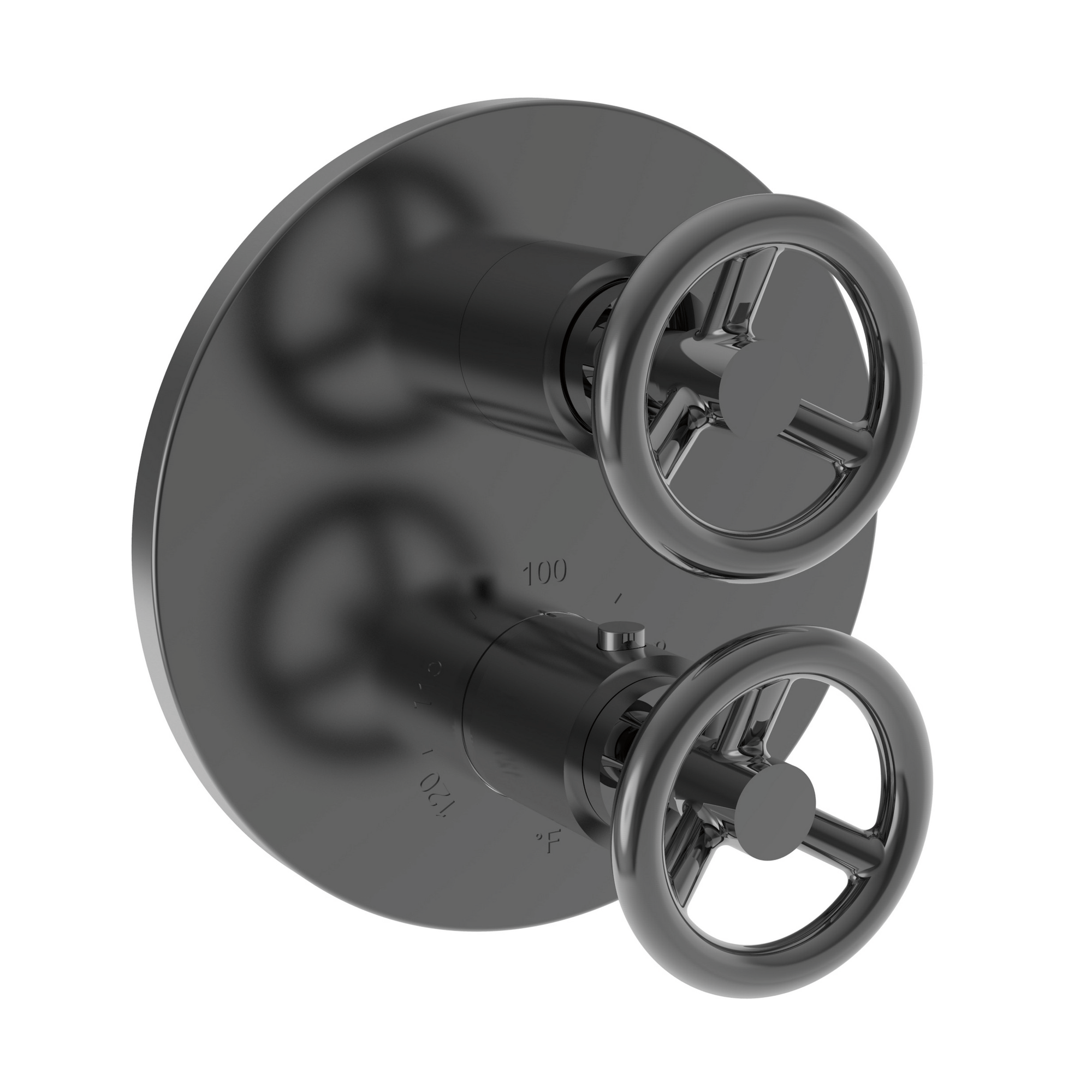 Newport Brass Slater® 1/2" Round Thermostatic Trim Plate with Handle